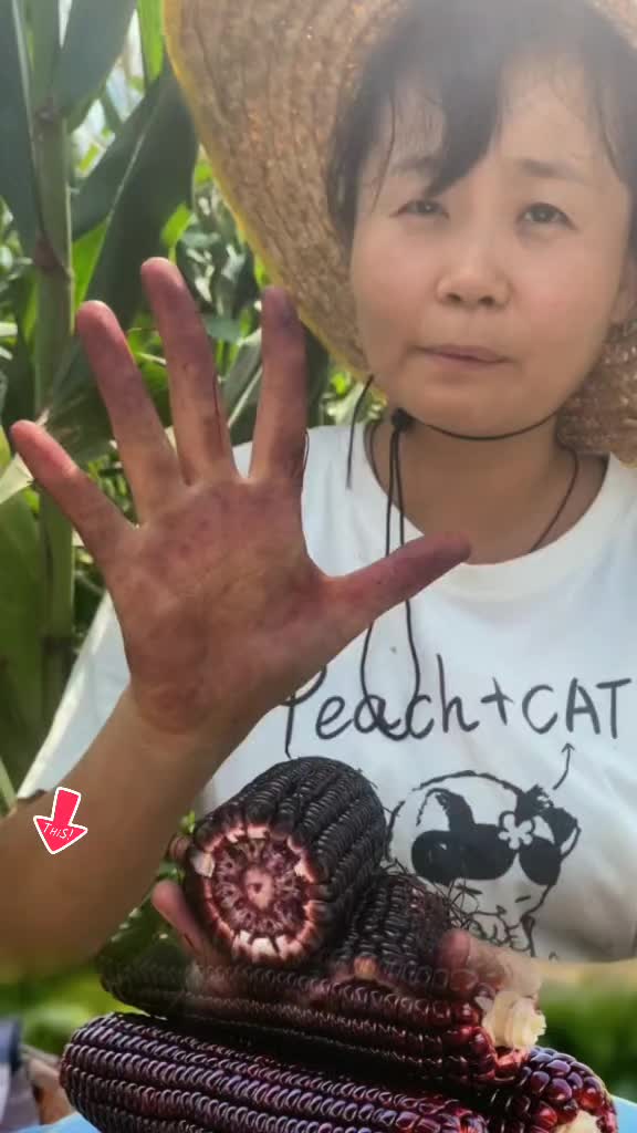 @tới đồ dùng