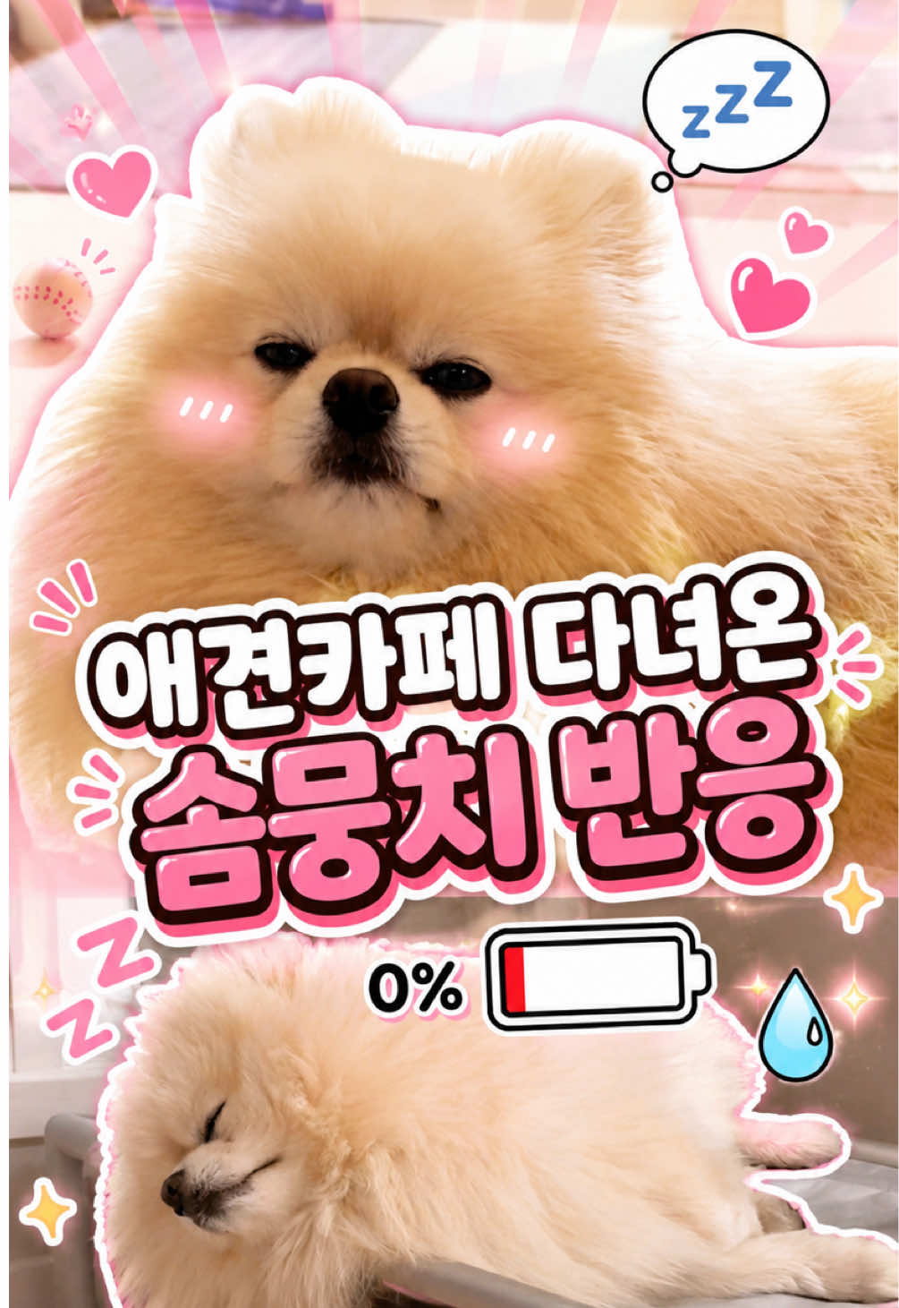 @뿌쇽🐻&zwj;❄️🤍