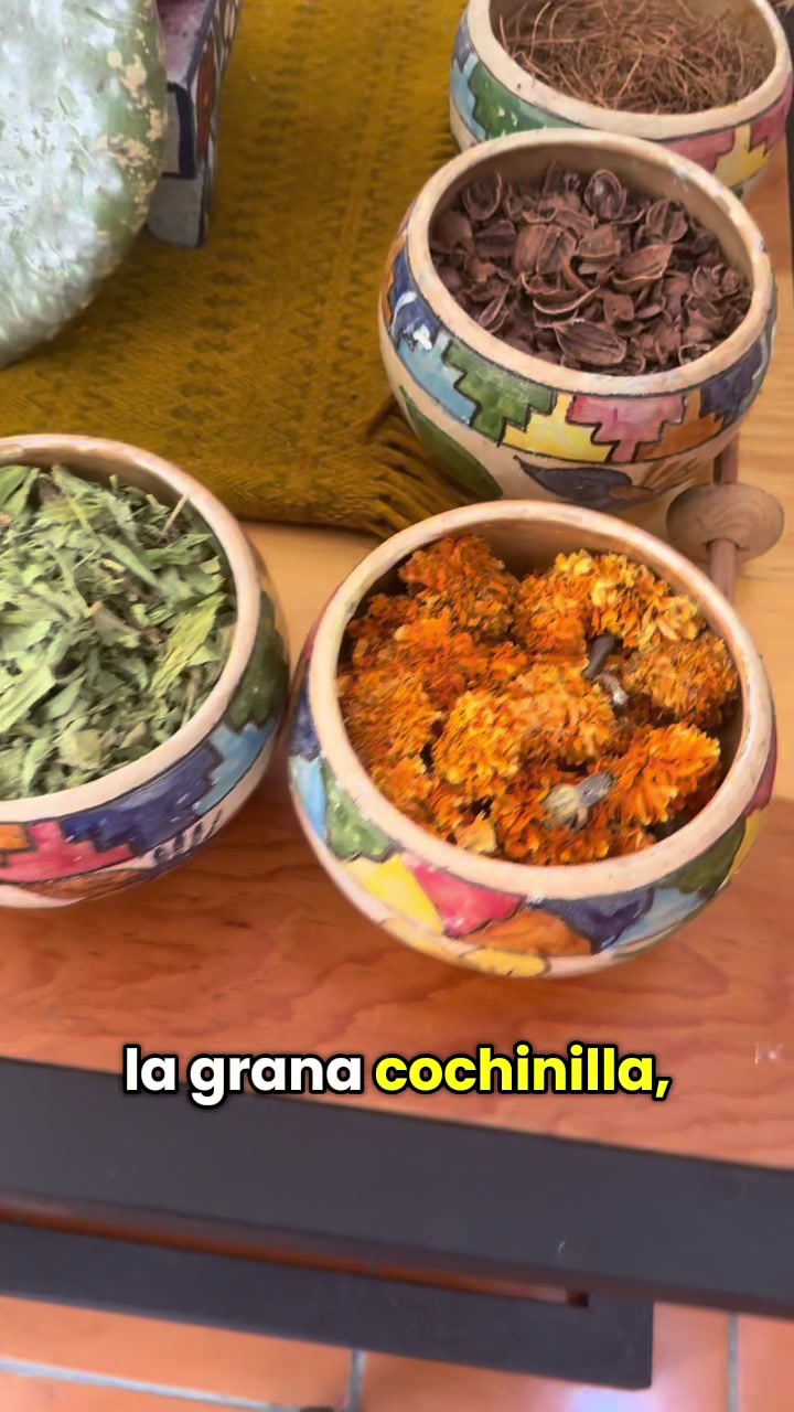@El Morido