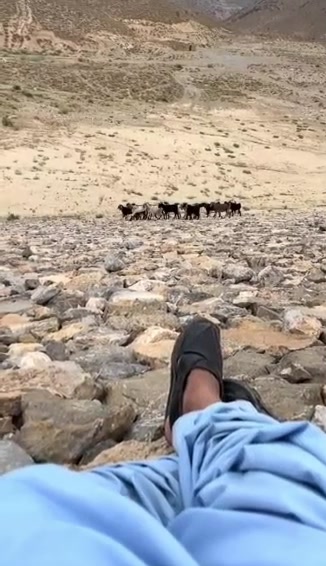 @میر بابر رند