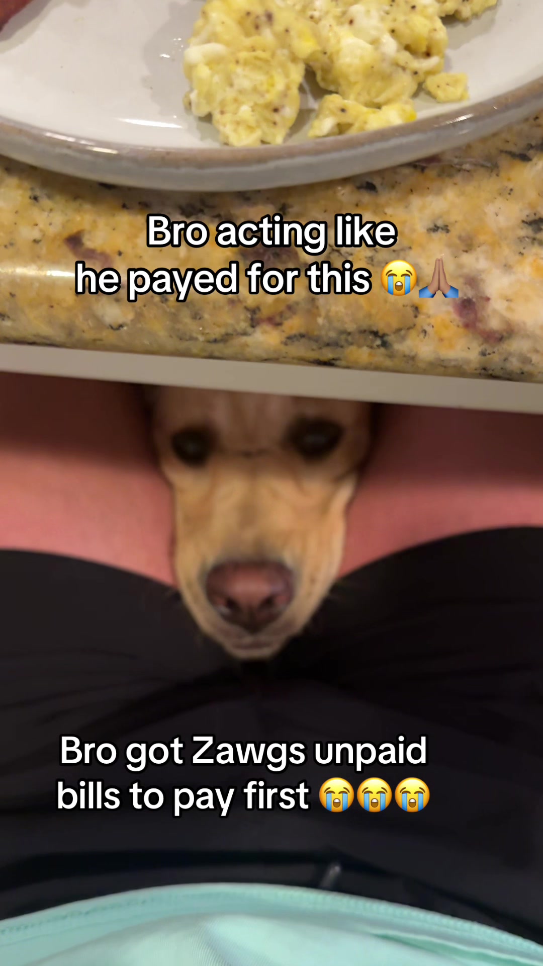 @Zawg&Schlawg