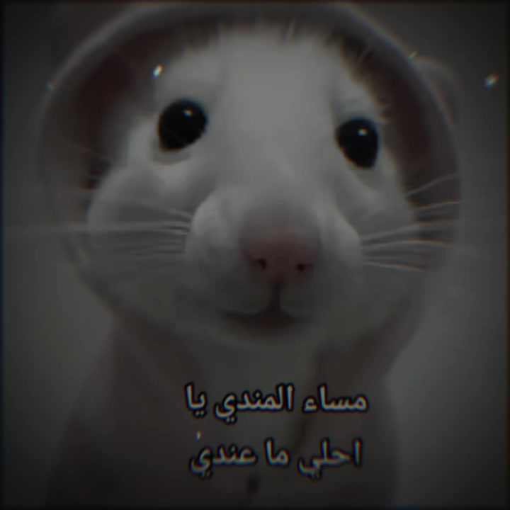@الہَِ حمووشة|🖤؟.