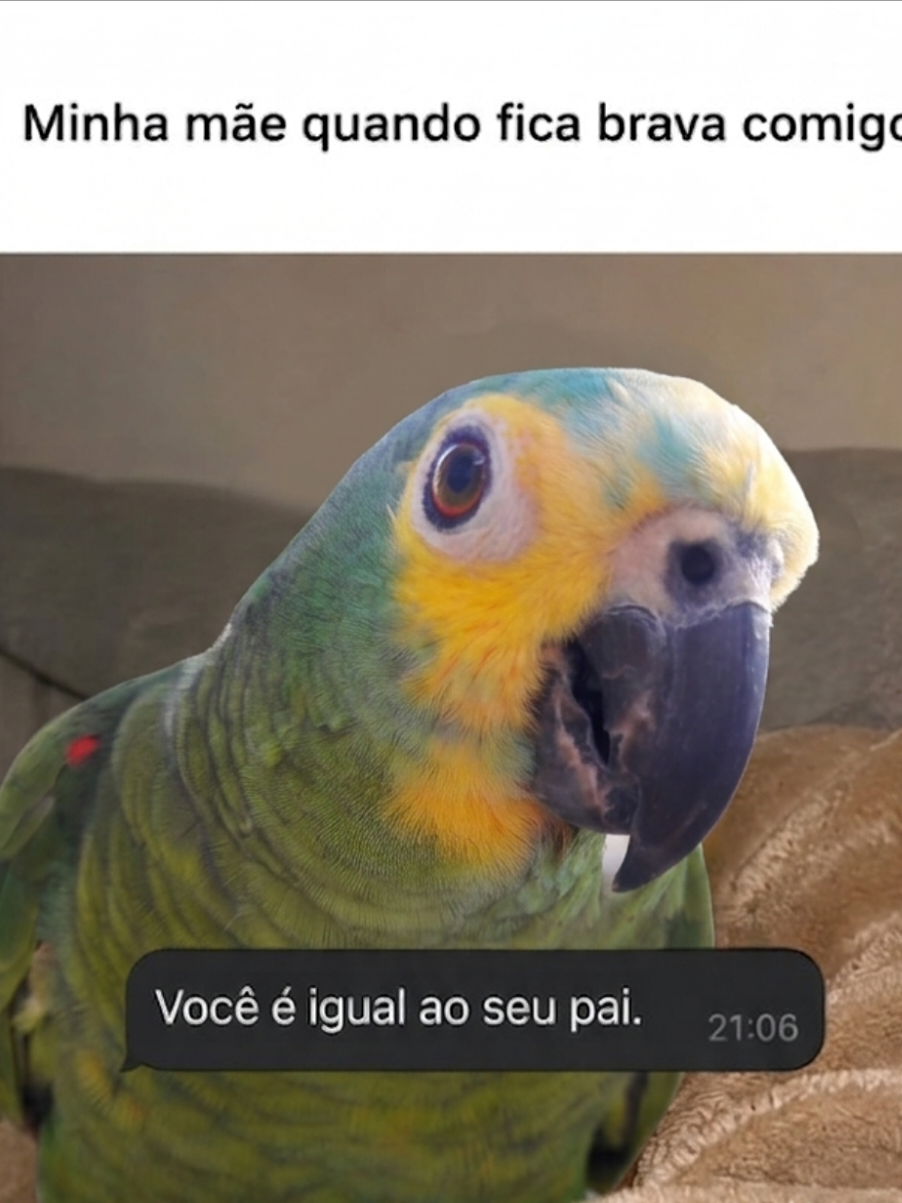 @Papagaio Chico🌽🦜