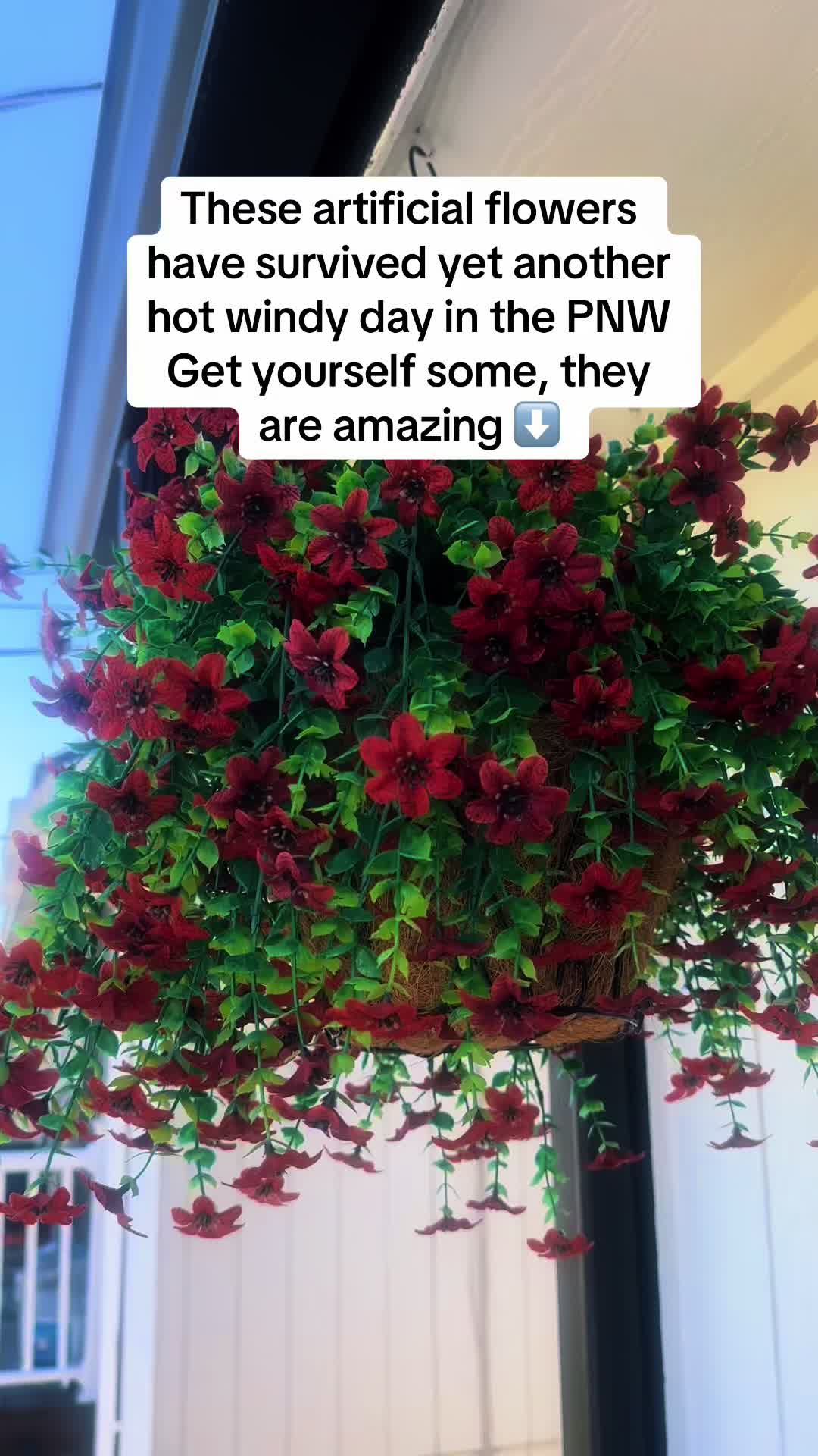@Alli