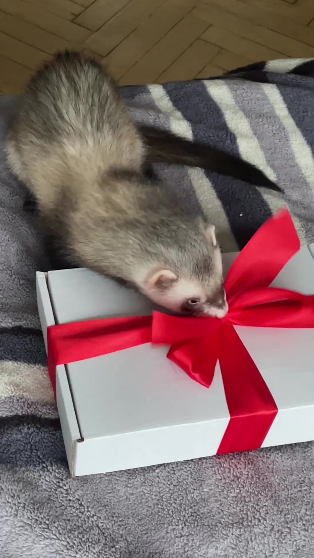 @катя<3