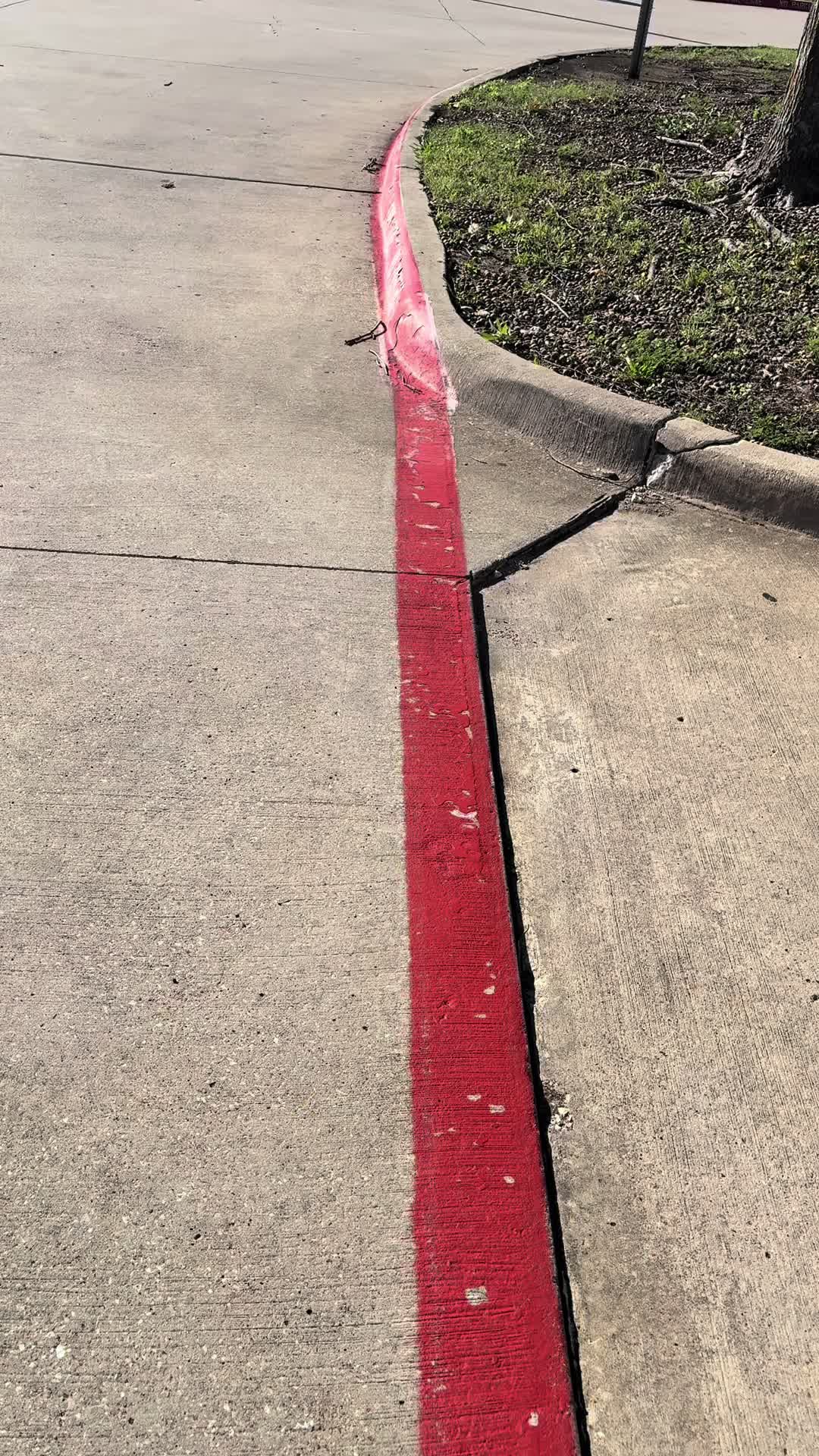 @davisdacop