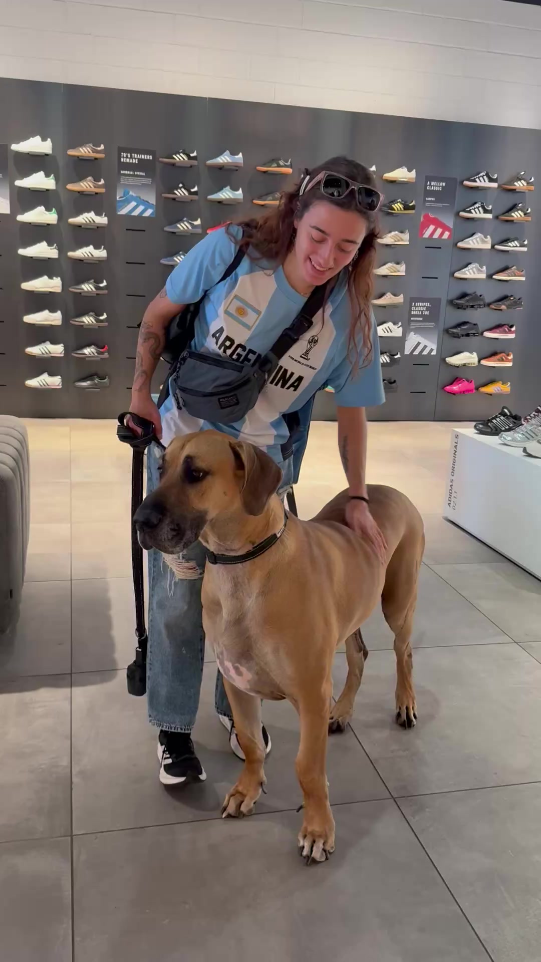@Roman the Great Dane
