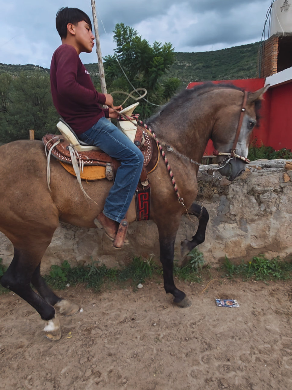 @AlejoRodriguez🎙🐎❤️
