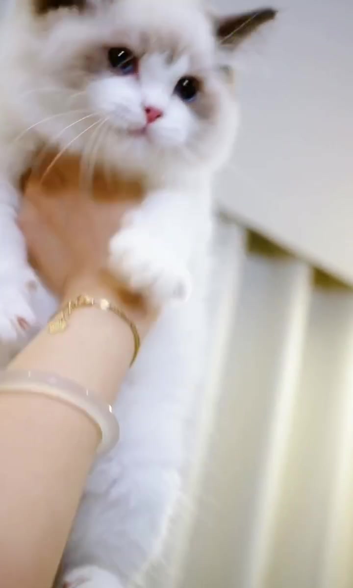 @fuyncats