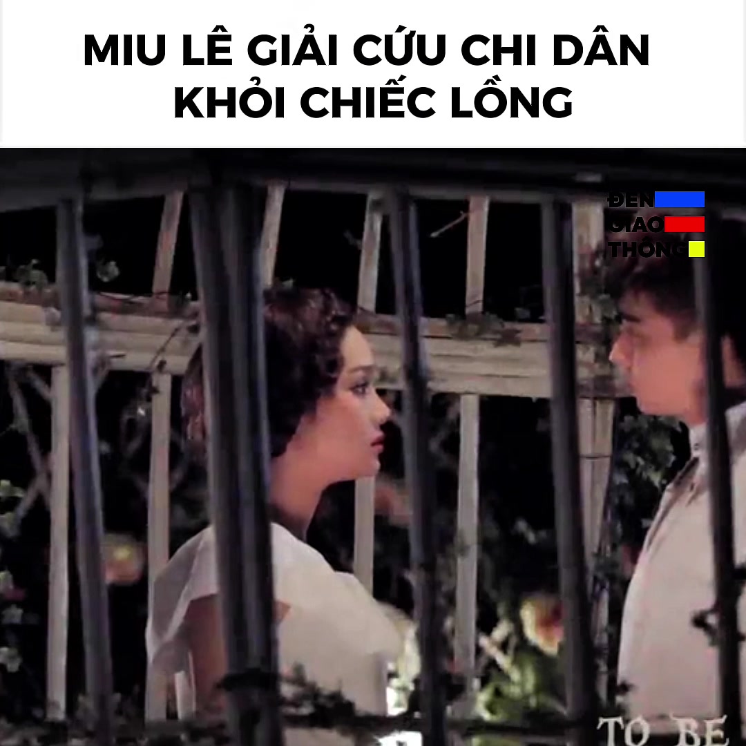 @Đ&egrave;n Giao Th&ocirc;ng 🚦