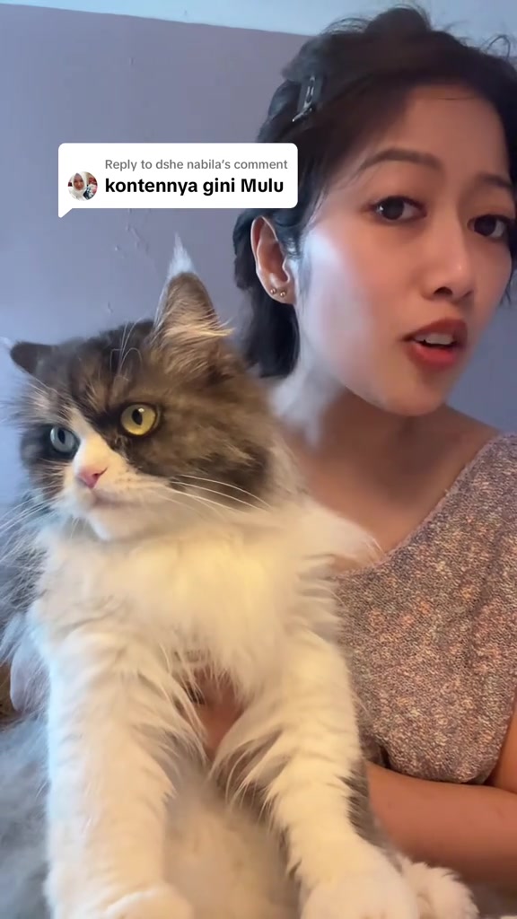 @Kimmy Kun