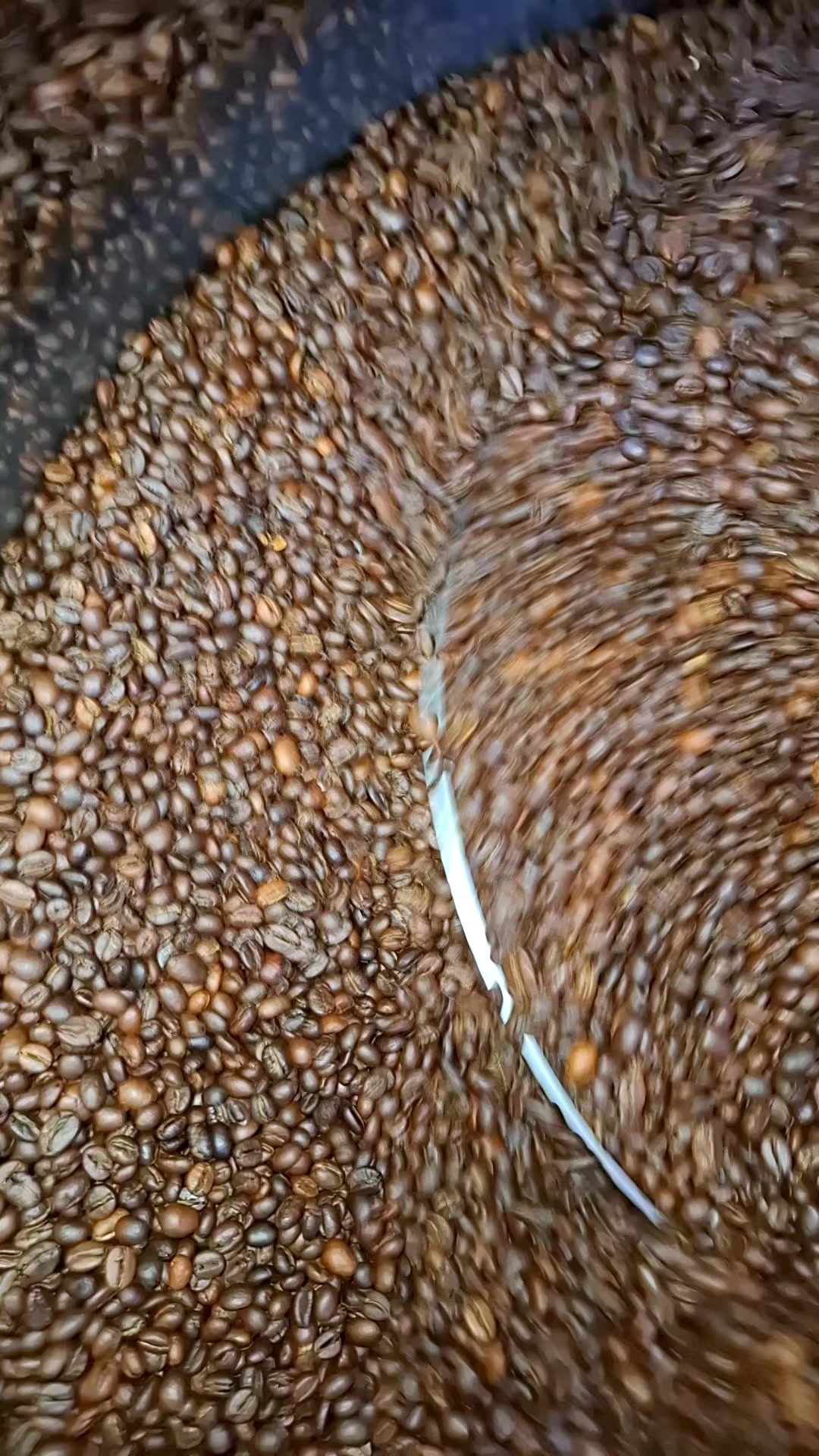 @Gold Coast Roasters Gh