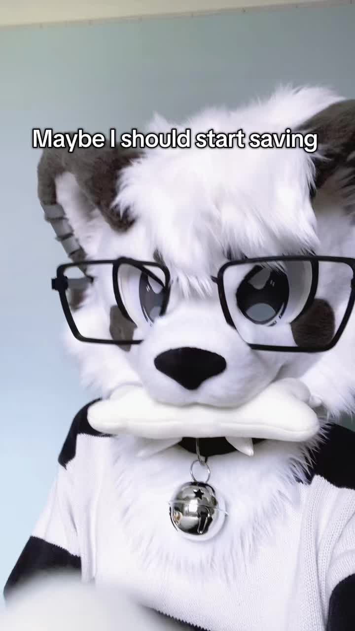 @🎬Lykoi🐾