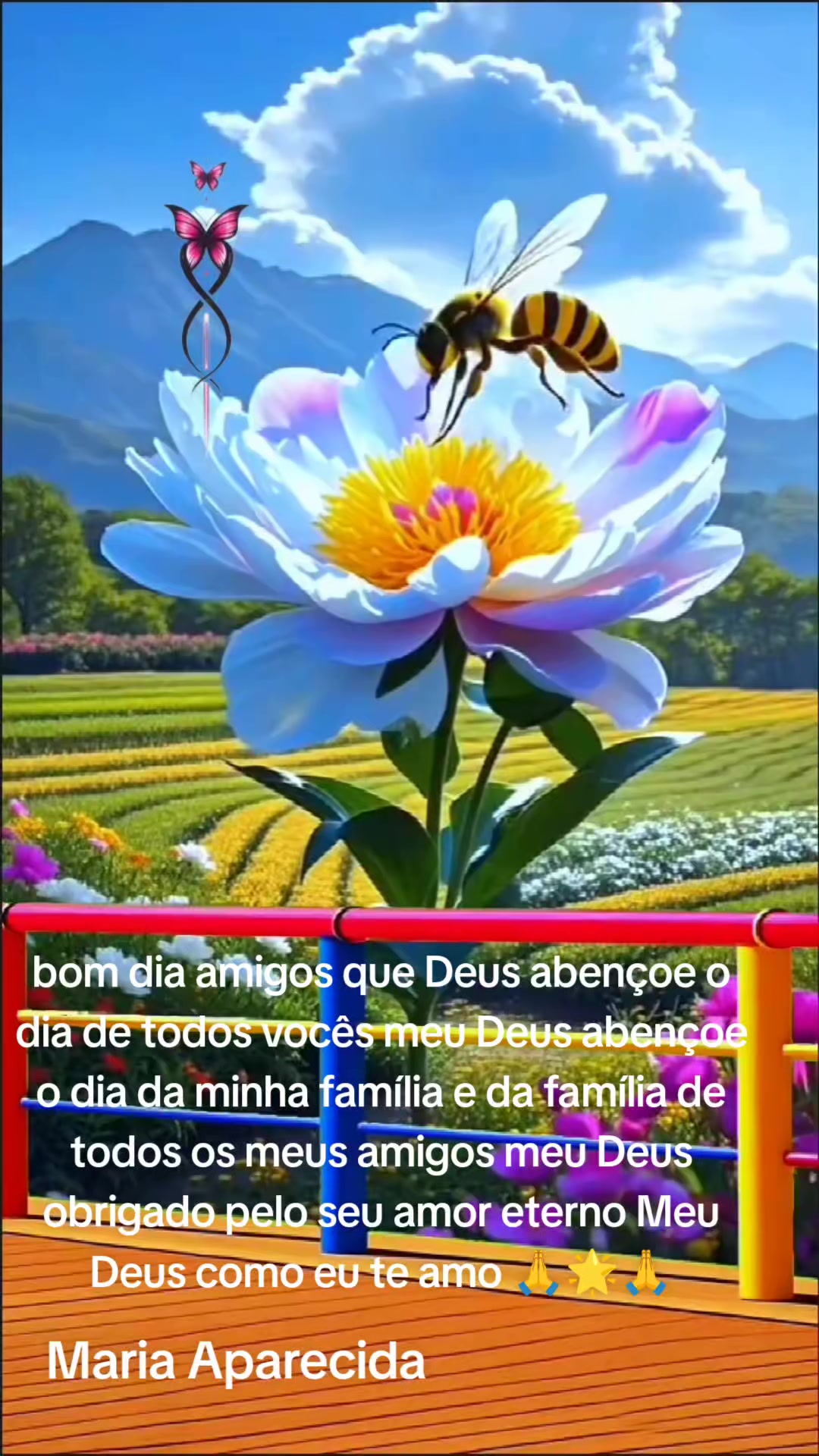 @Maria Aparecida