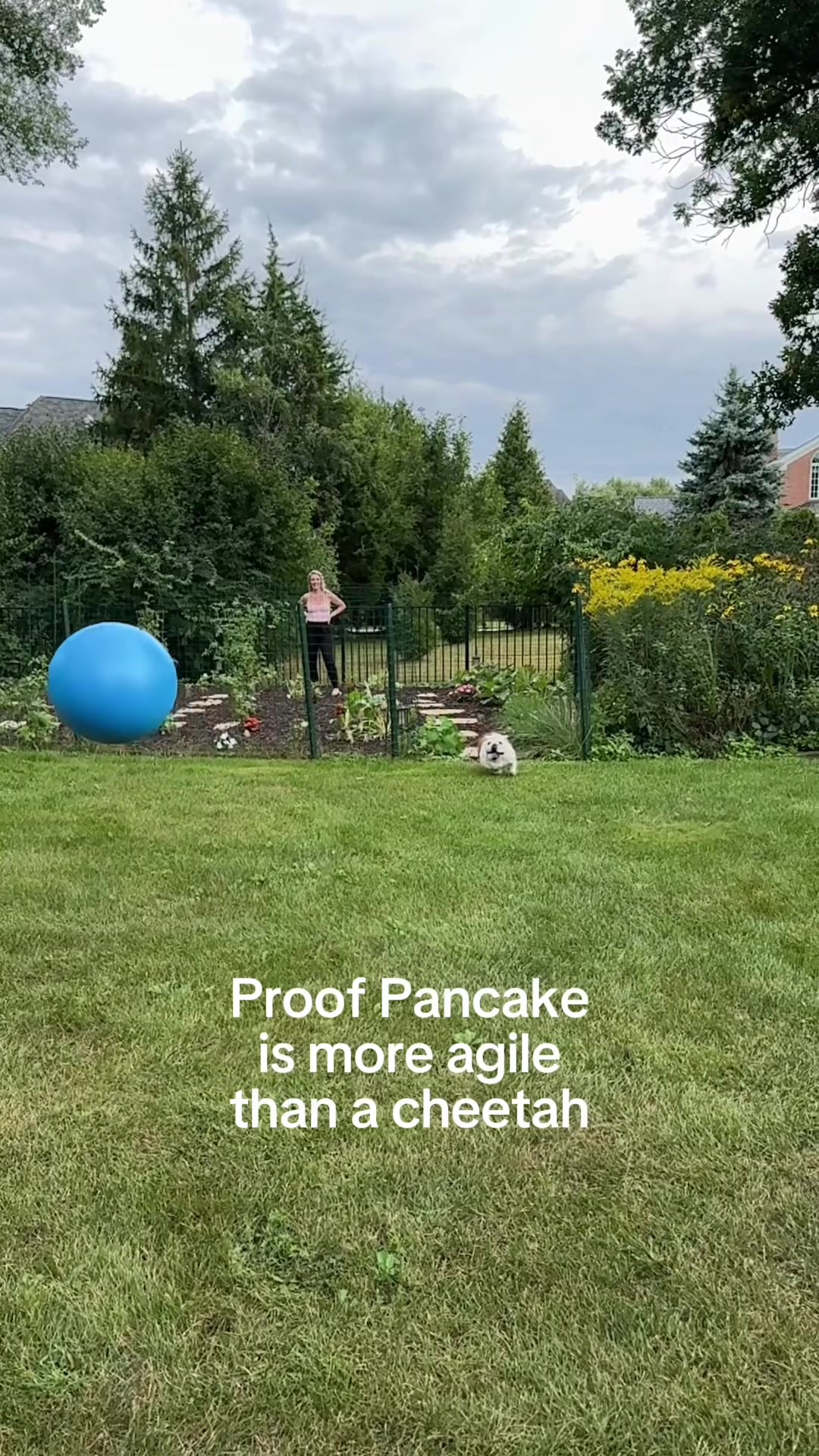 @Pancake 🥞
