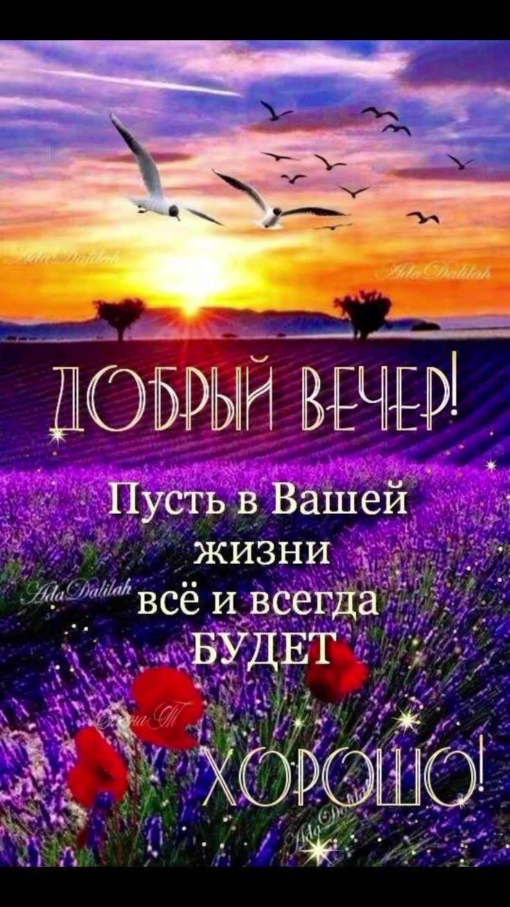 @Евдокия