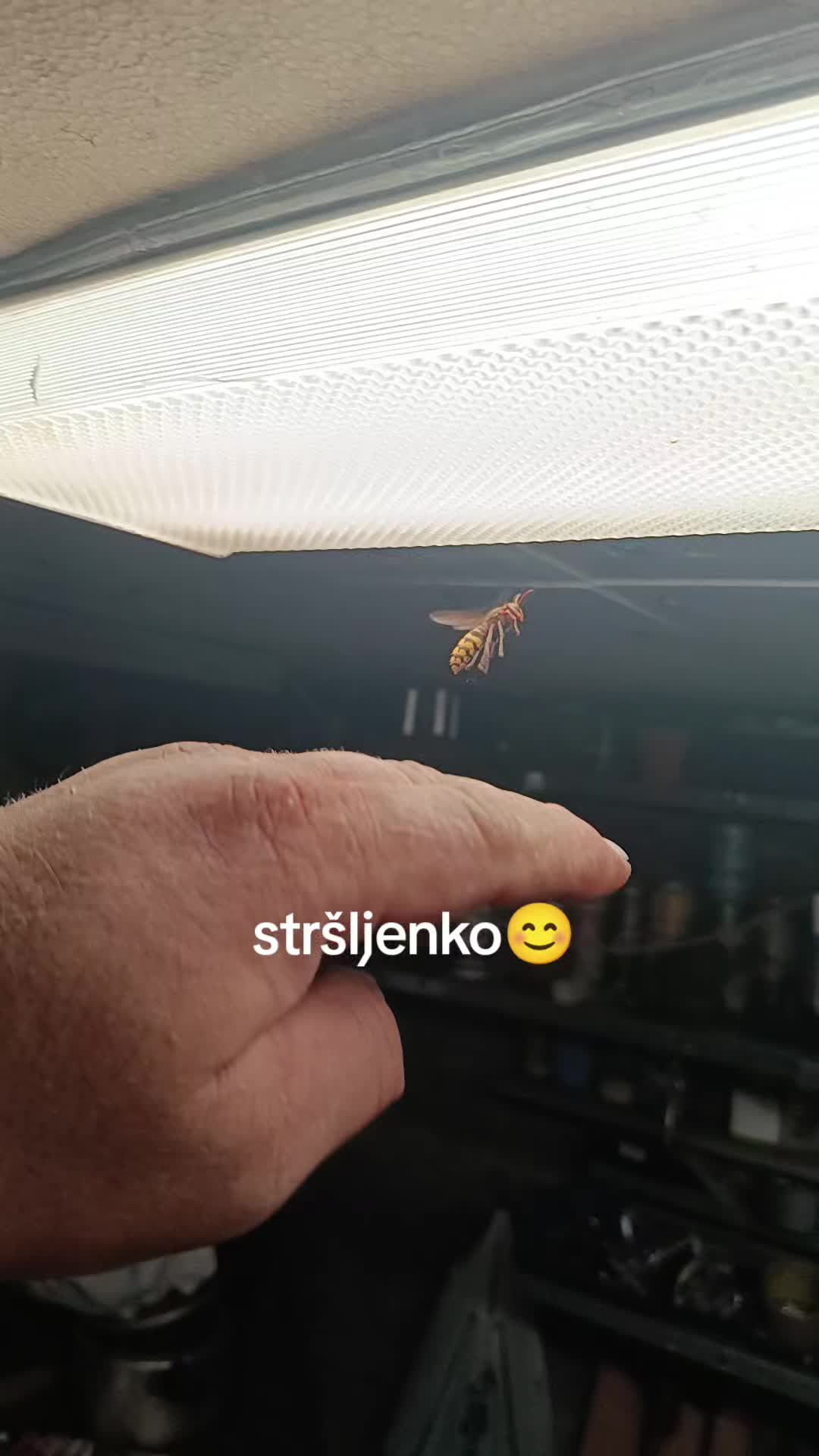 @Suad Jahić