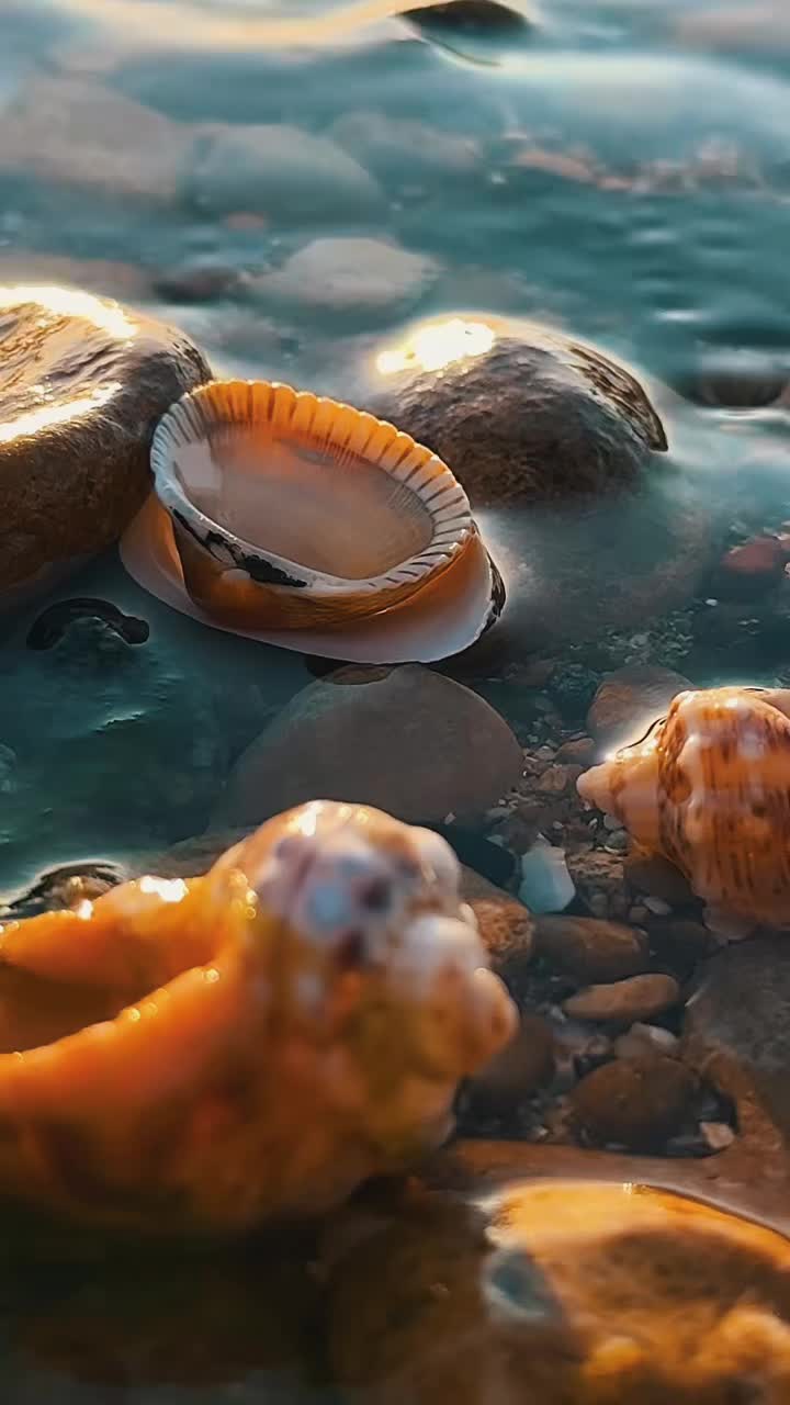@𝓐𝓷𝓰𝔂76
