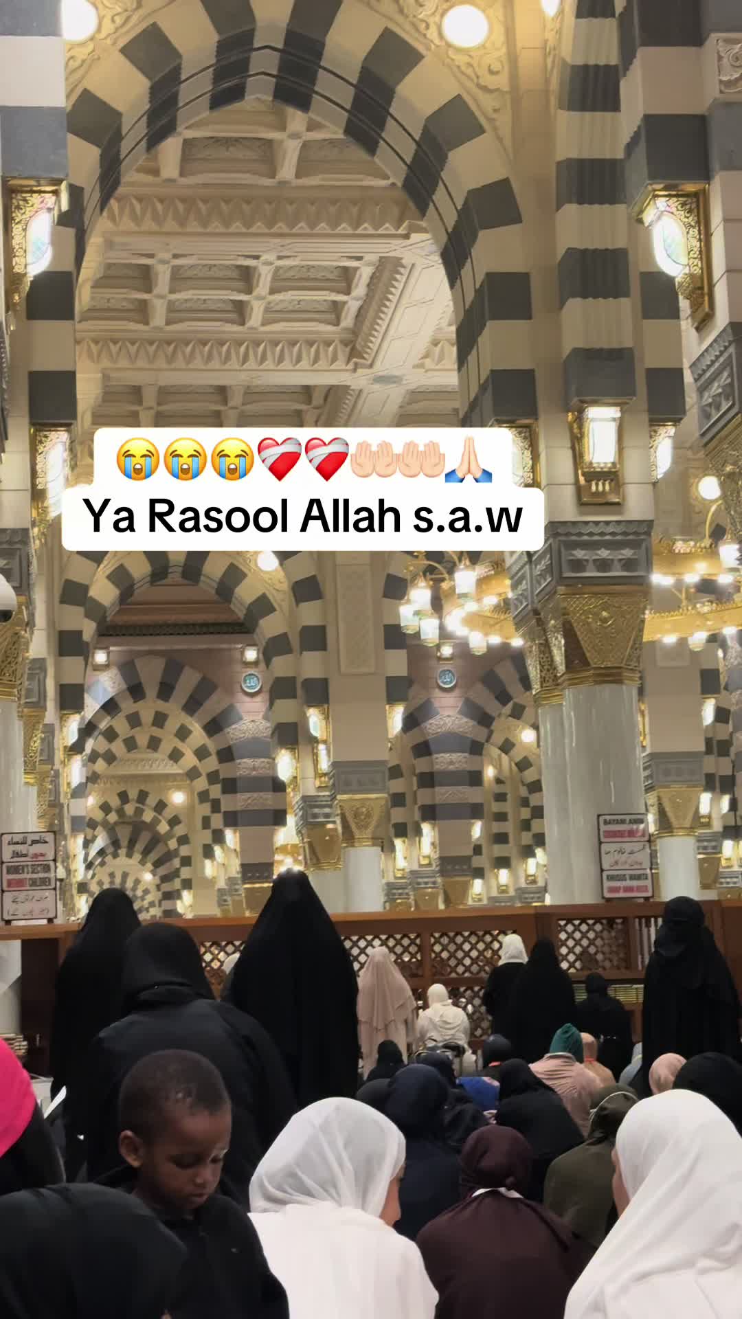 @MomentsOfGermany🇩🇪🇵🇰❤️