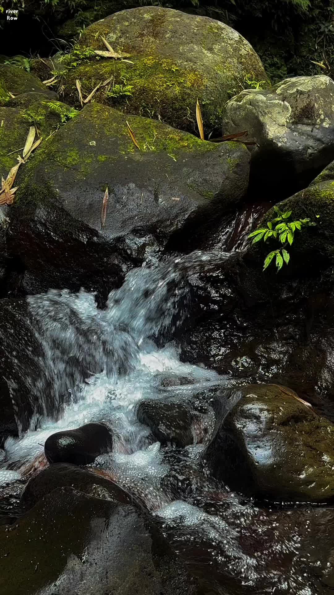 @River Flow