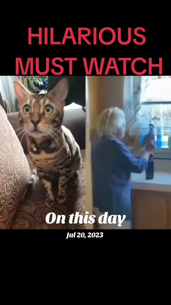 @Shredmaster3000
