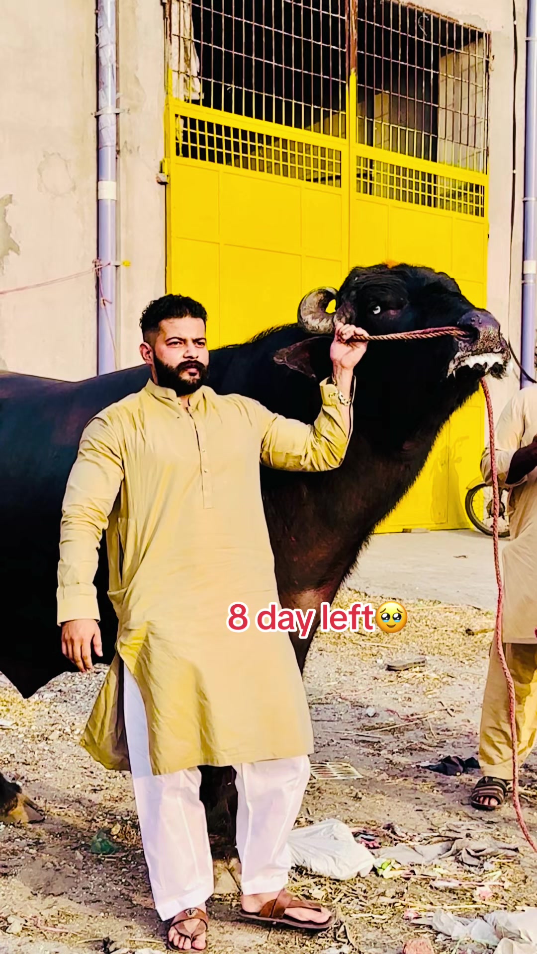 @ch junaid mehar