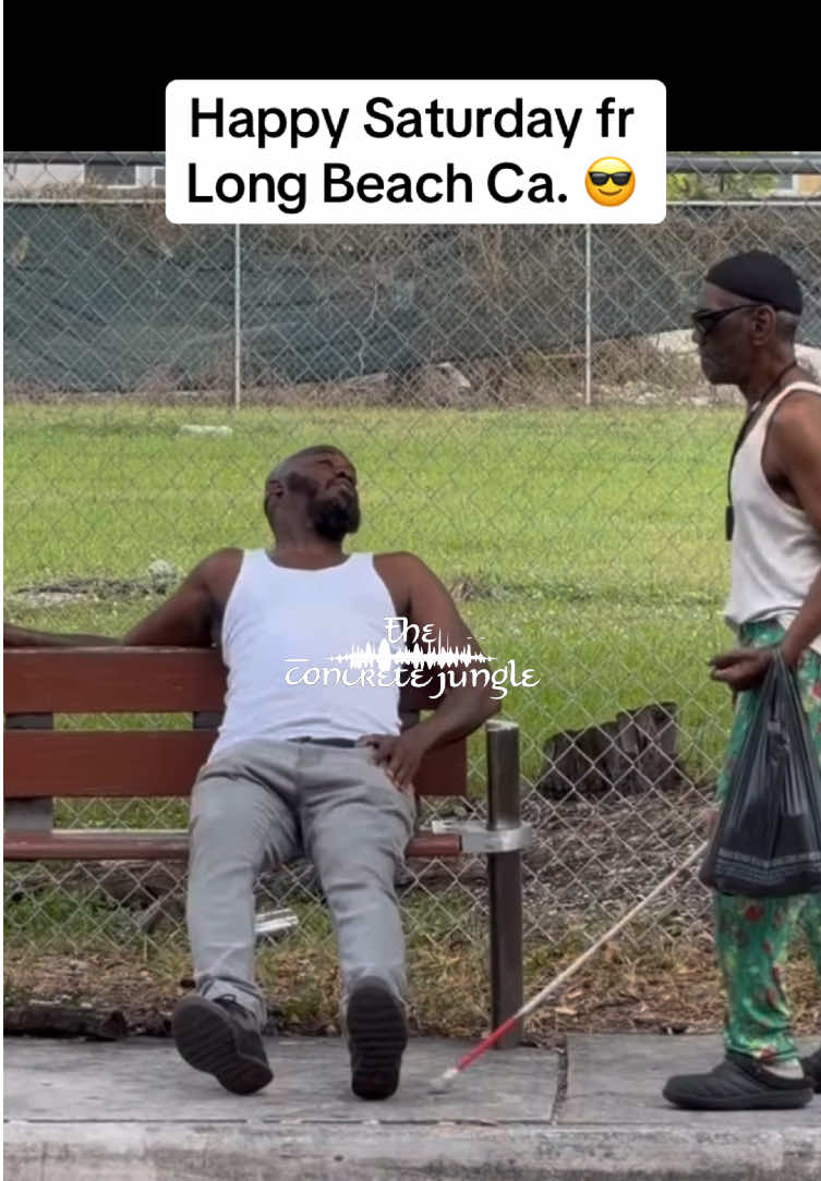 @The Concrete Jungle