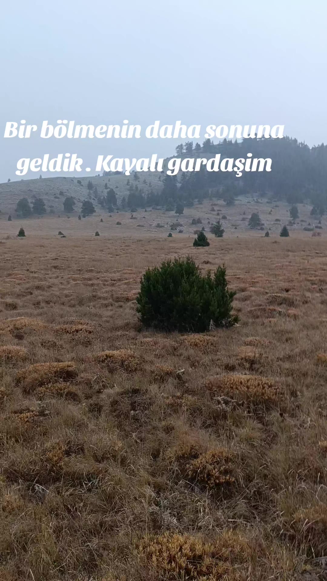 @ibrahim odabaş