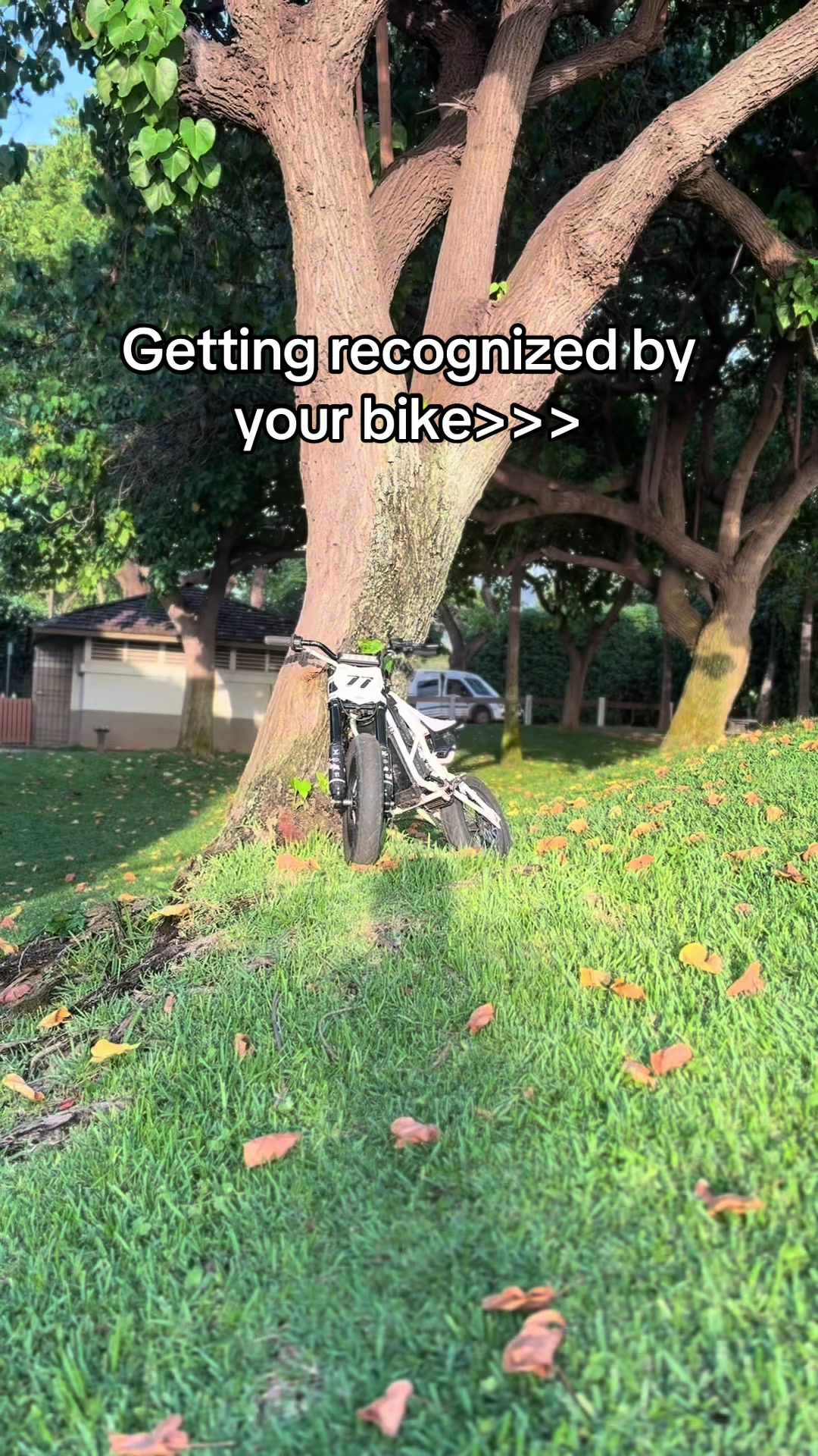 @wht_ebox