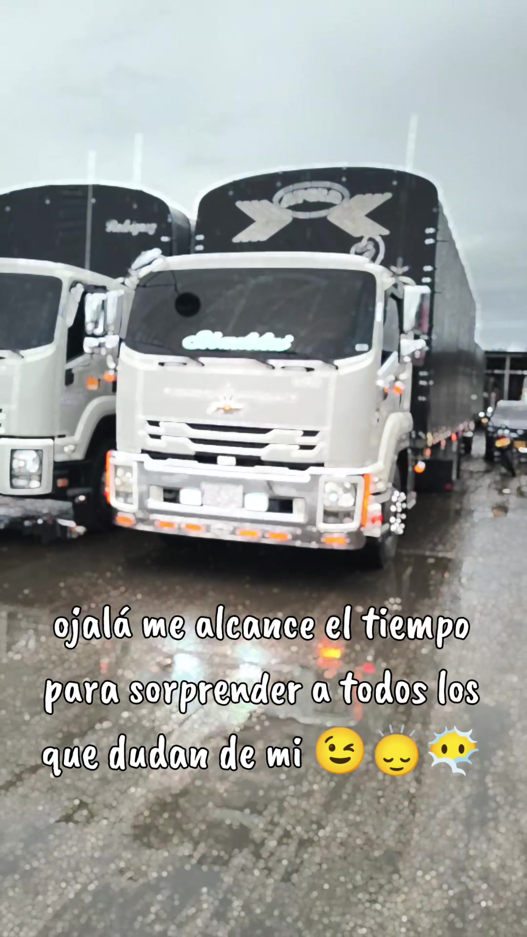 @Pinto Daniel Elias
