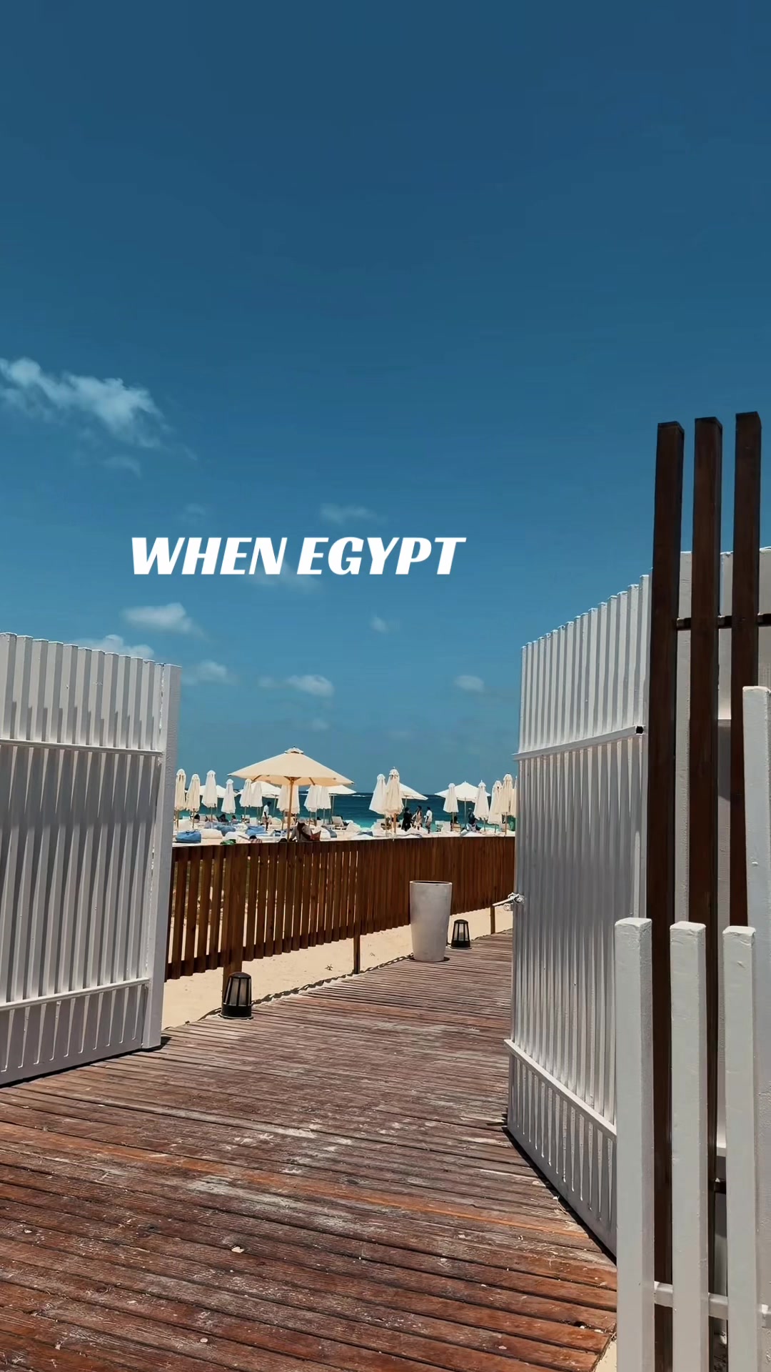 @جينا دايلايد • Ms cairo