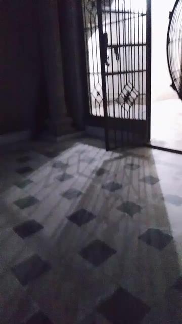 @Bushra786