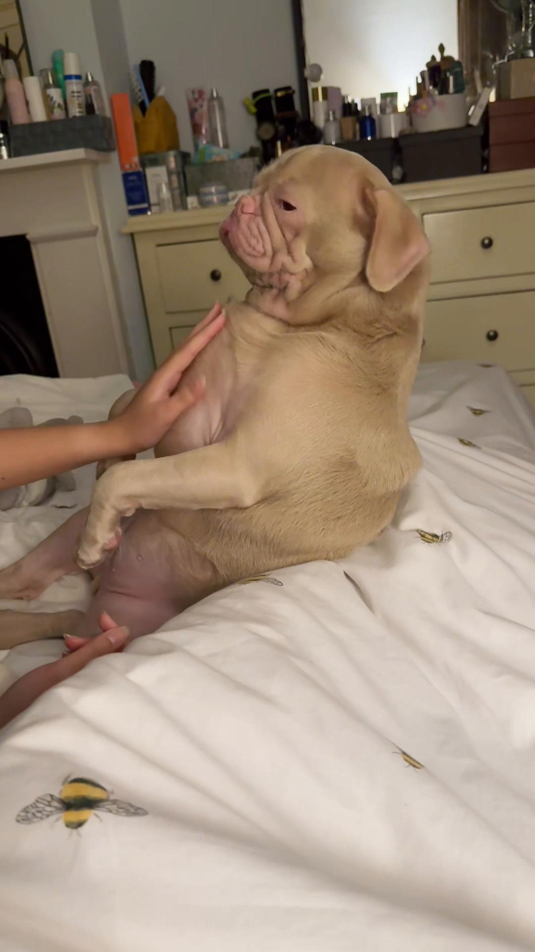 @pinkpugrufus