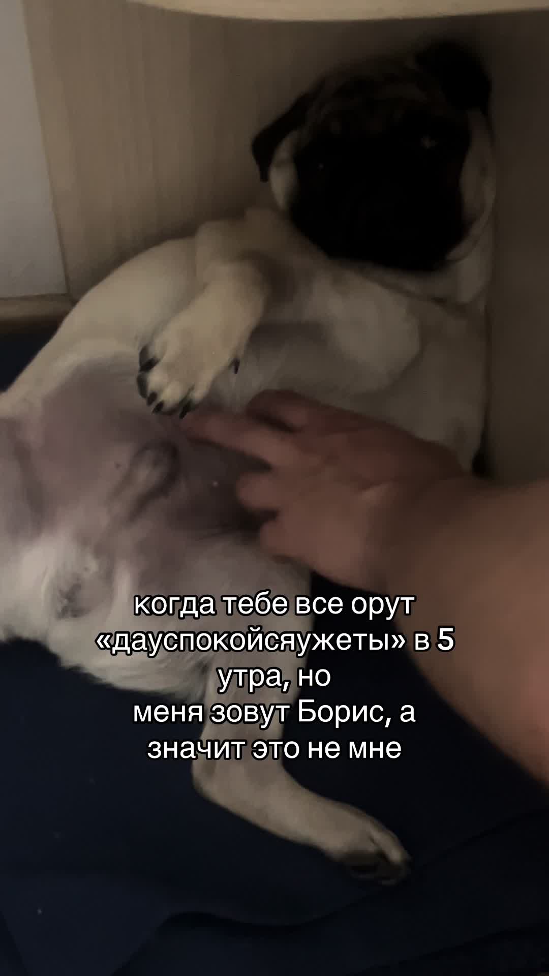 @𝓽𝓪𝓷𝓾𝓼𝓱𝓪