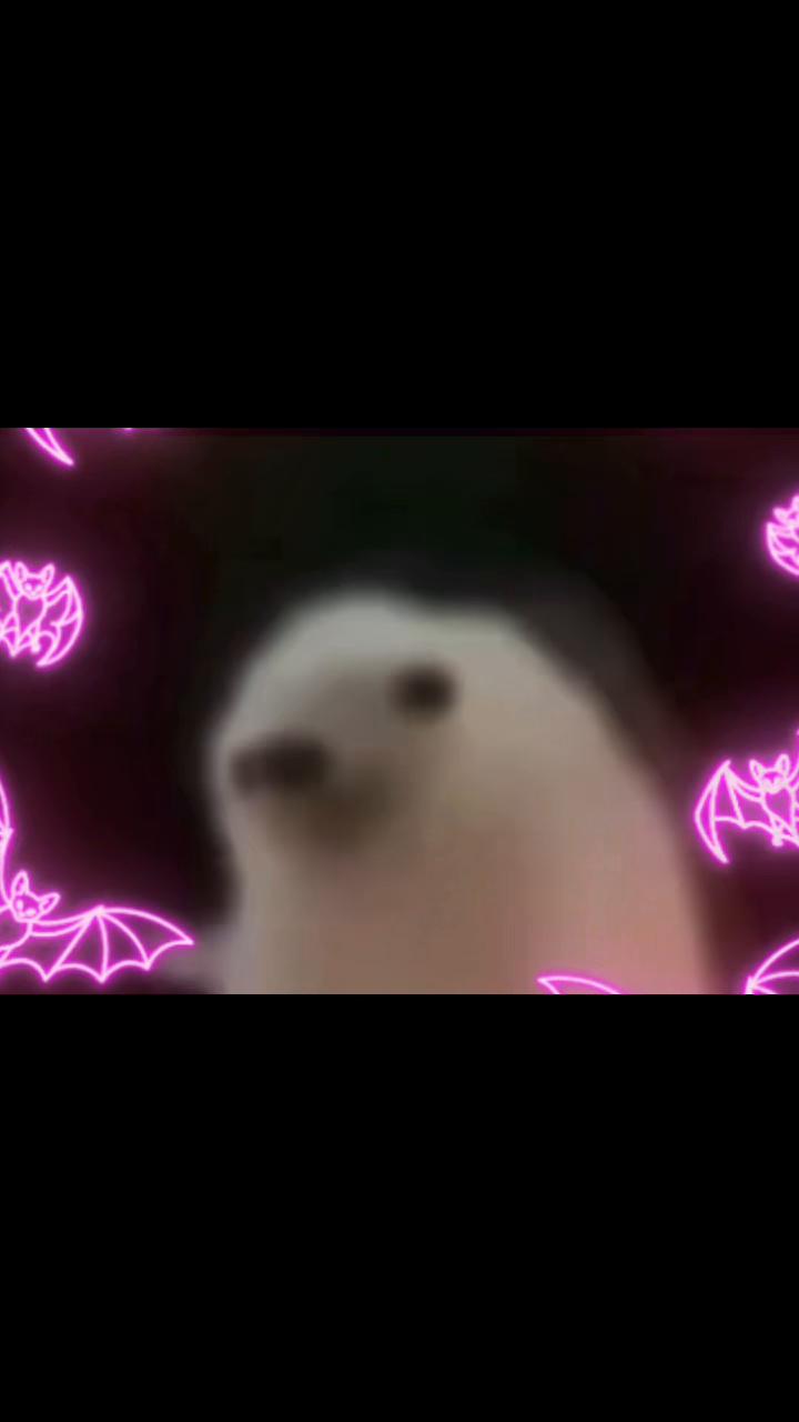 @PidiMusic