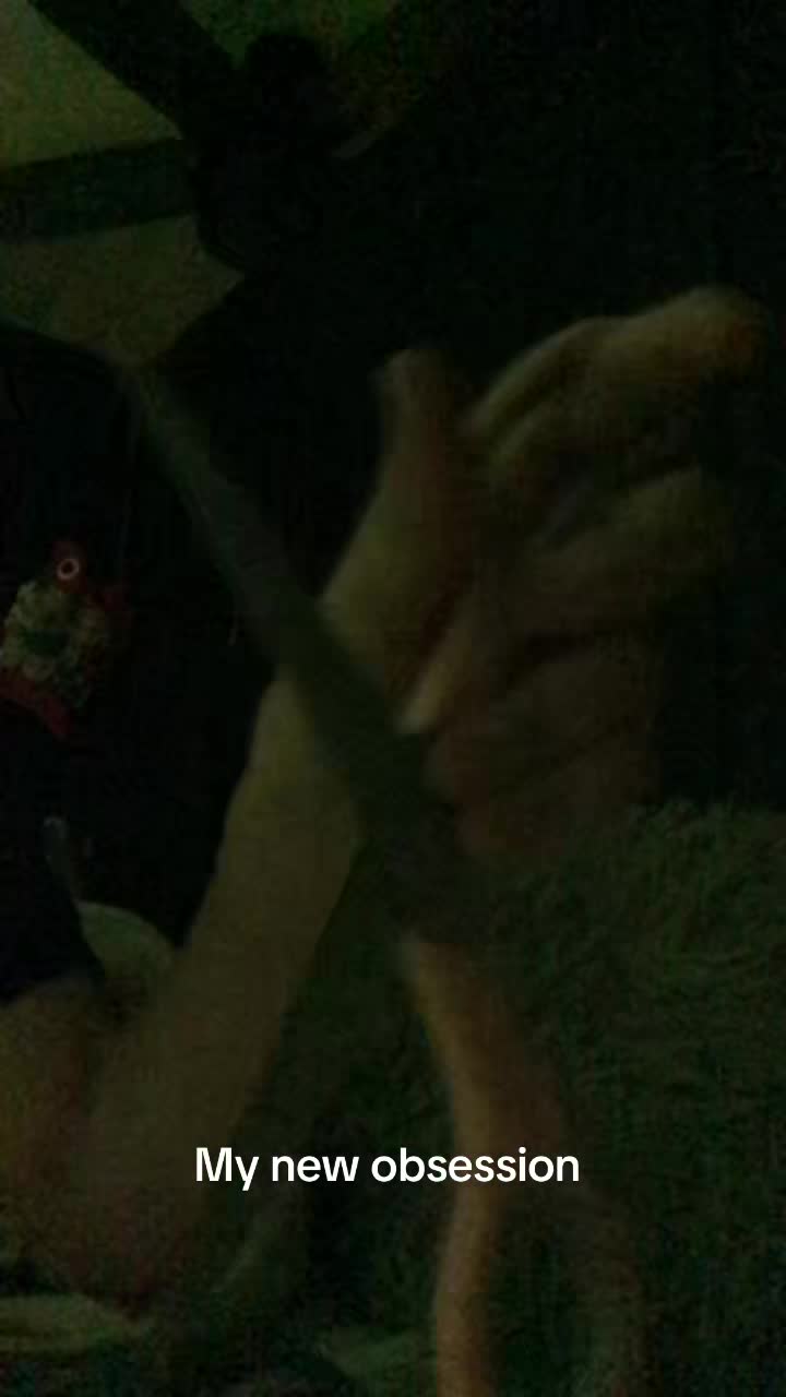 @lily.commmmmmmm