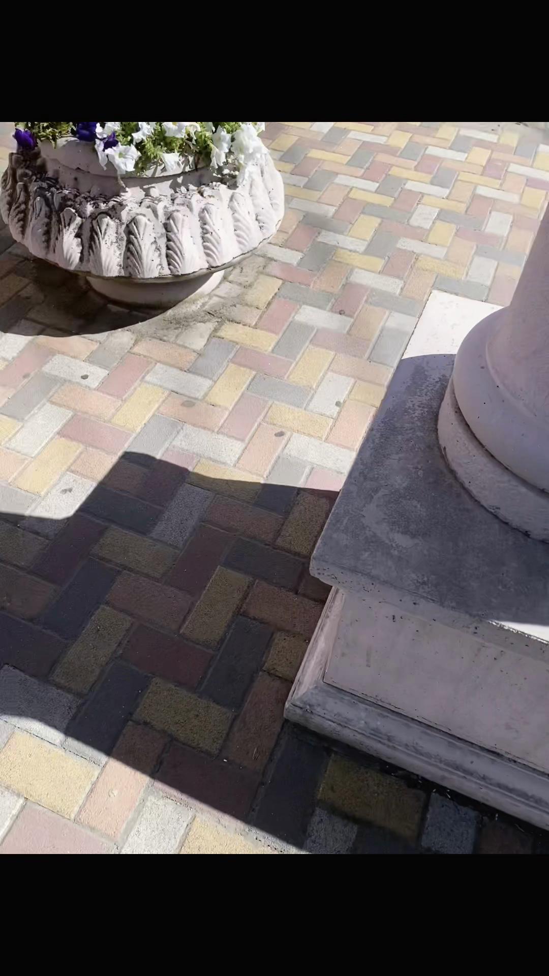 @𝔹𝕦𝕣𝕕𝕖𝕟𝕜𝕠¹²⁶