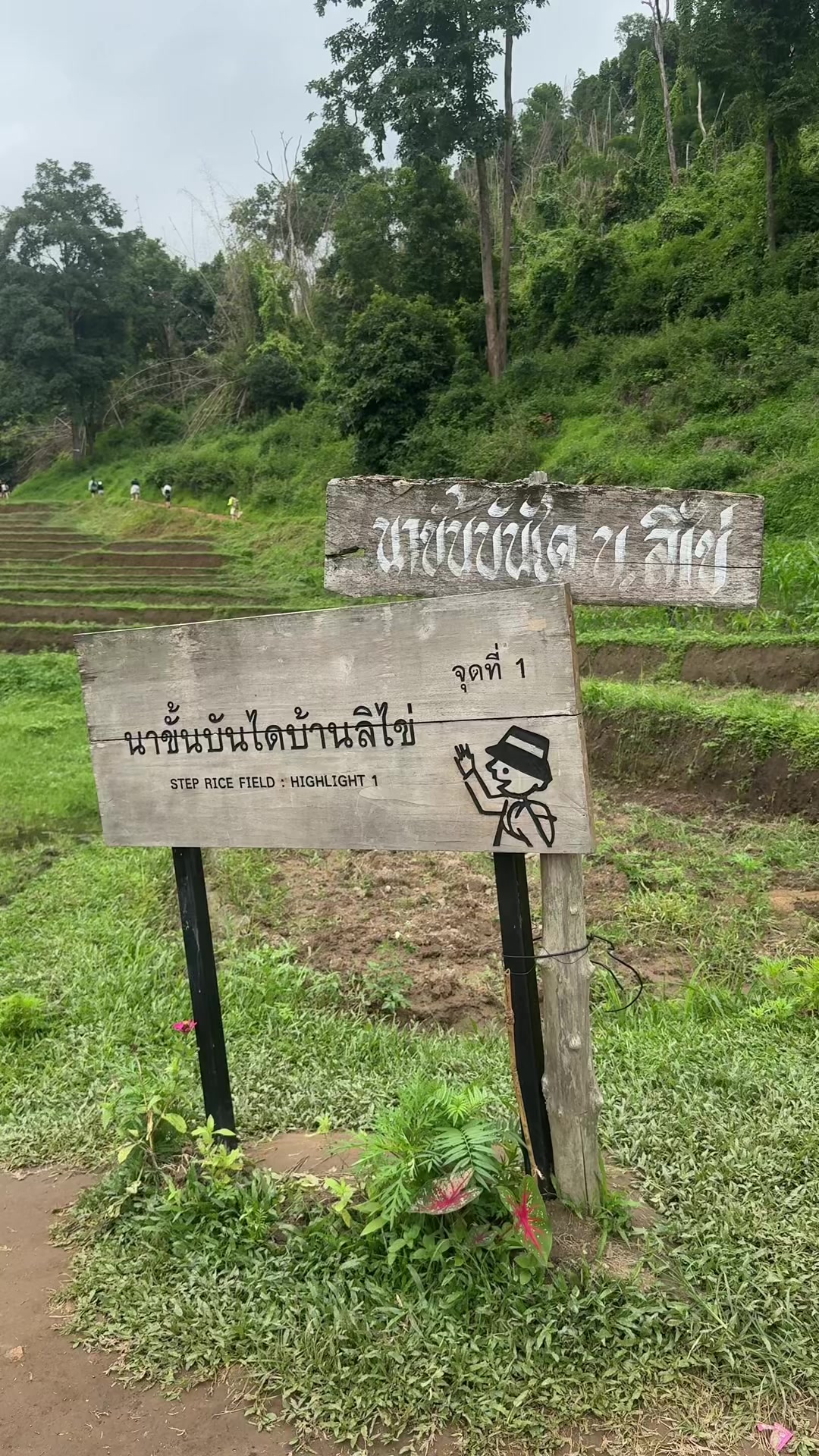 @ThankSay