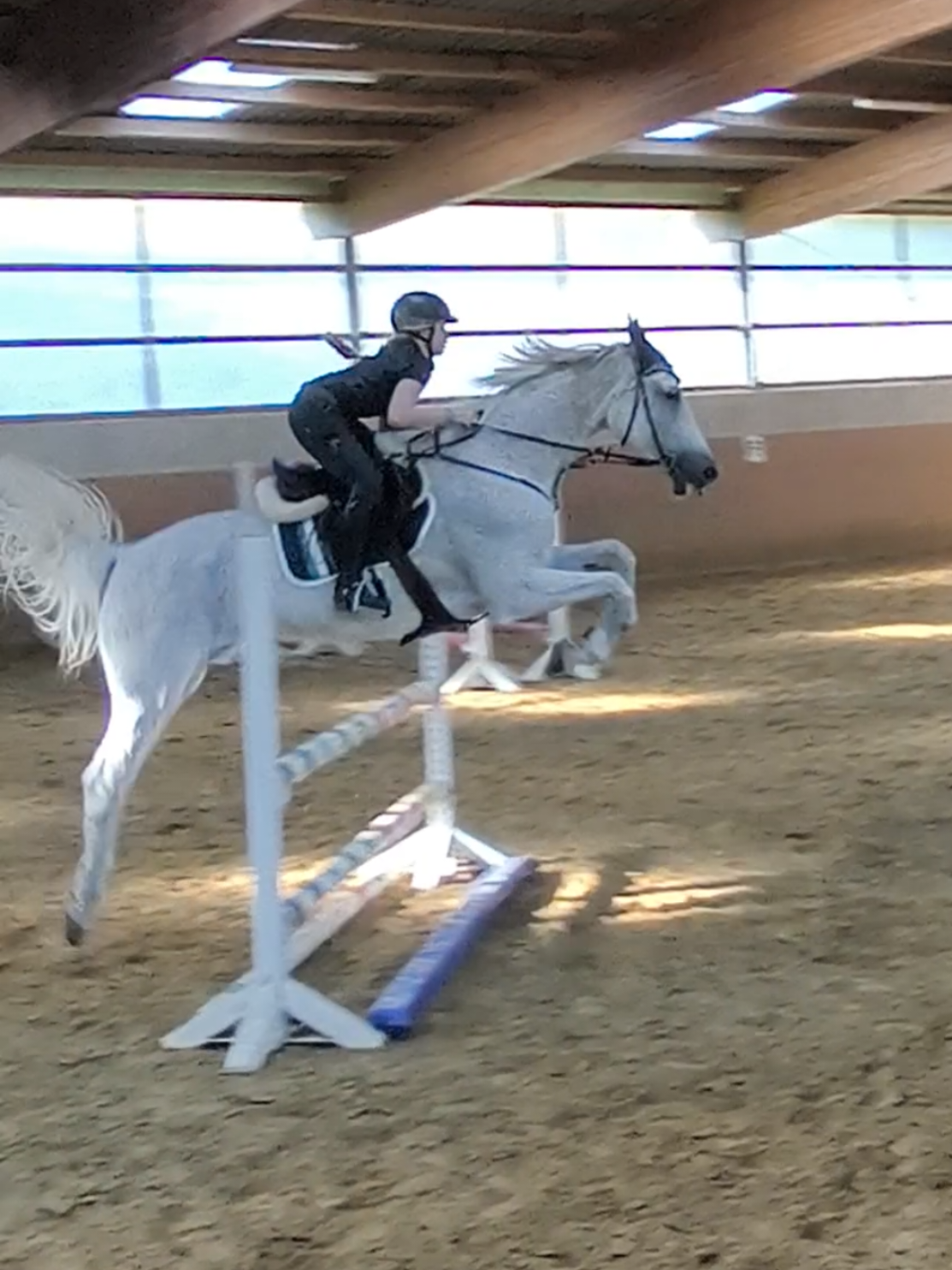 @Spring"Pony"Casha
