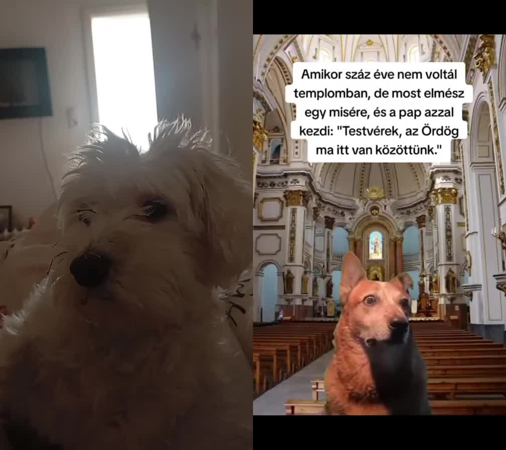 @Teleki LEVI🥔 ❤️❤️❤️