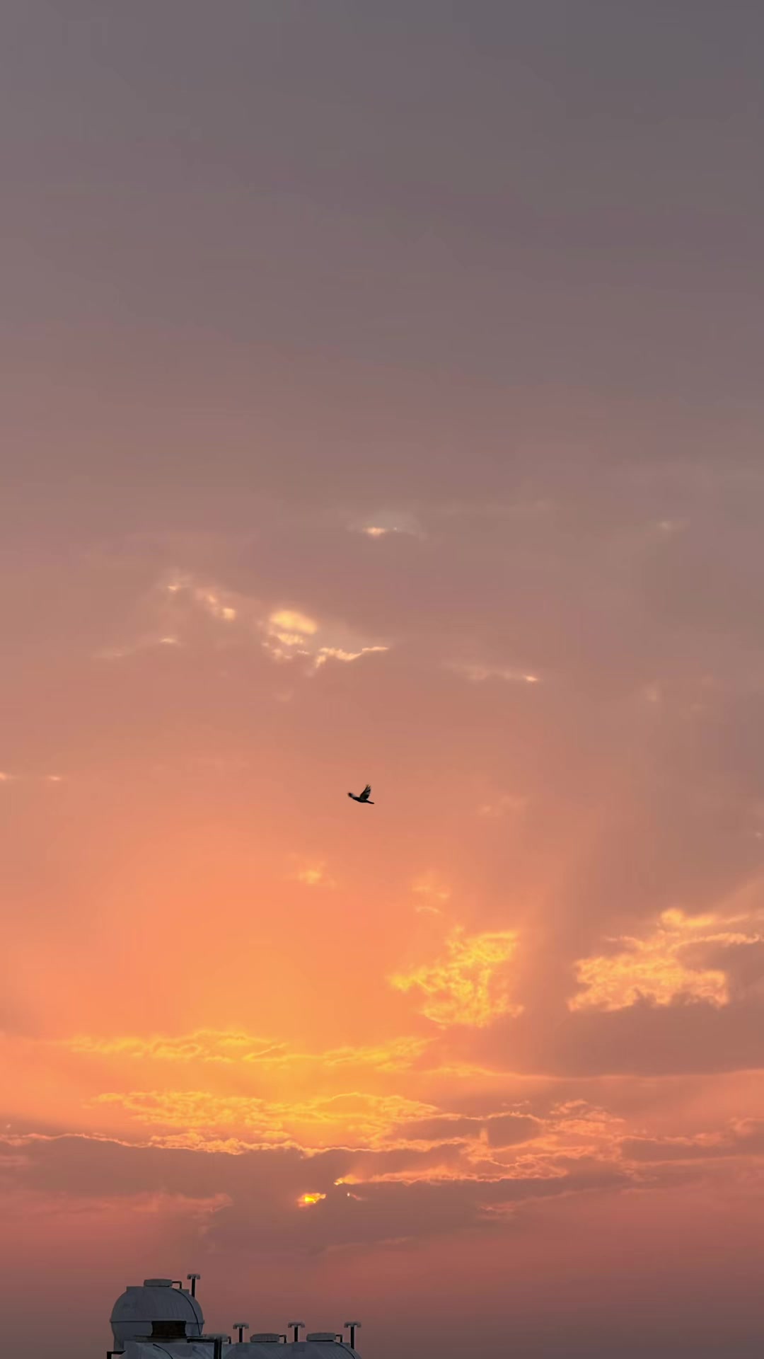 @أحلام 🇸🇦