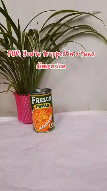 @Evelyn Cornetes