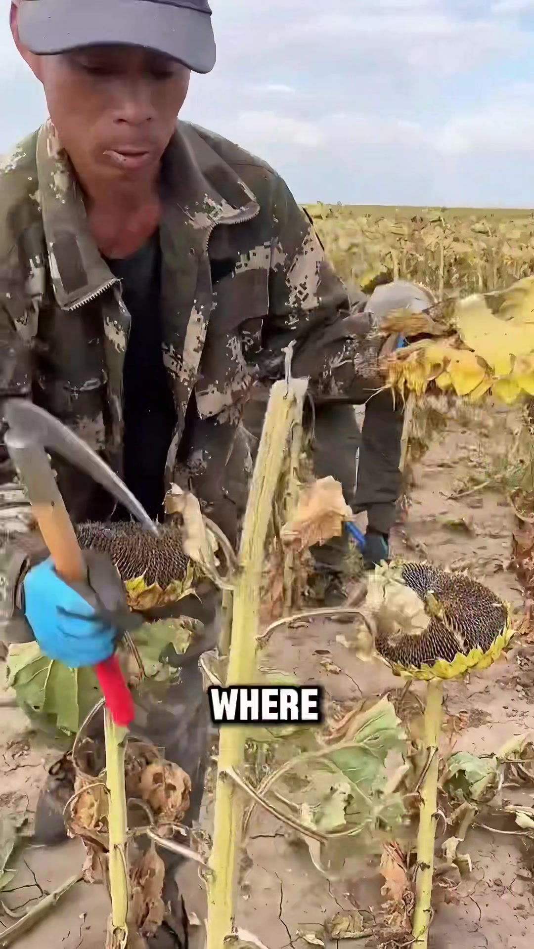 @militarybird