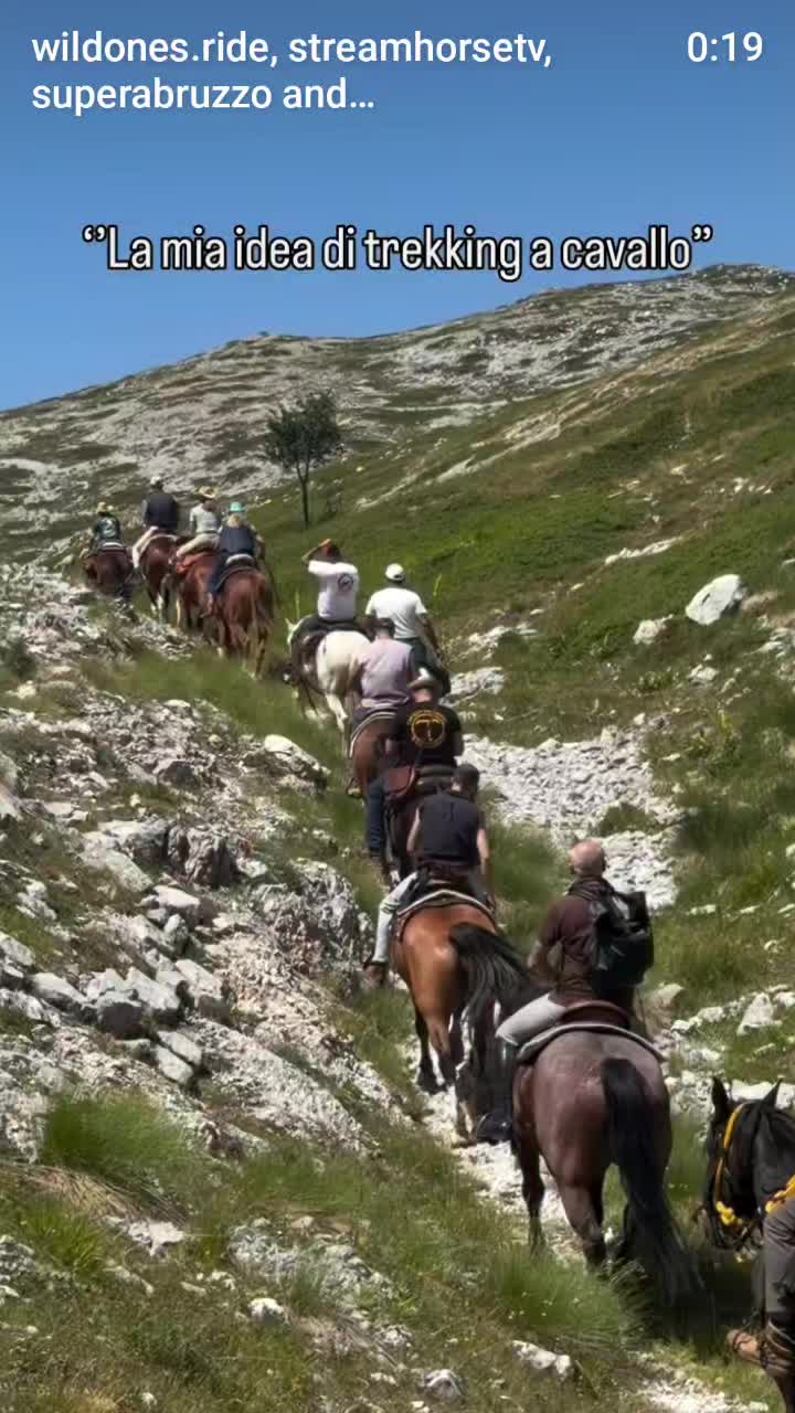 @streamhorse