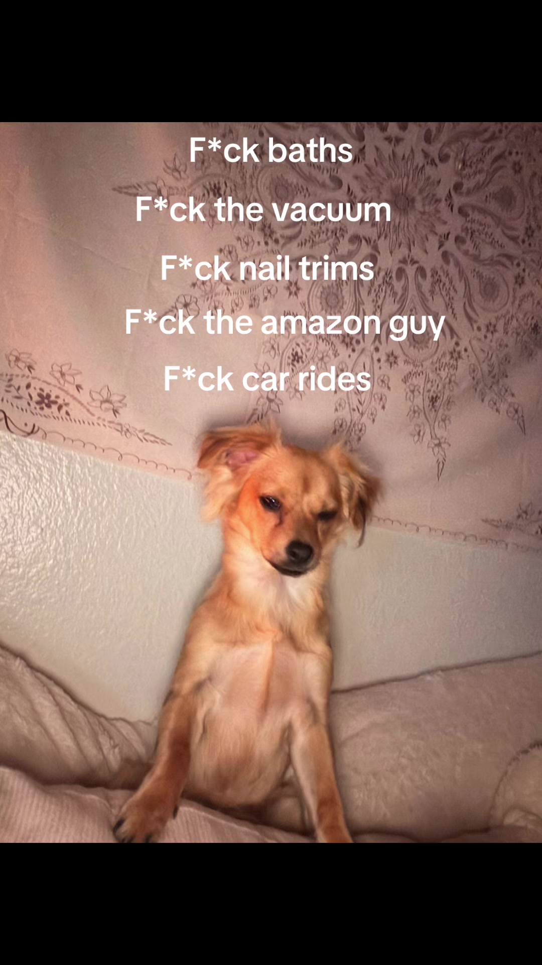 @a 🤍