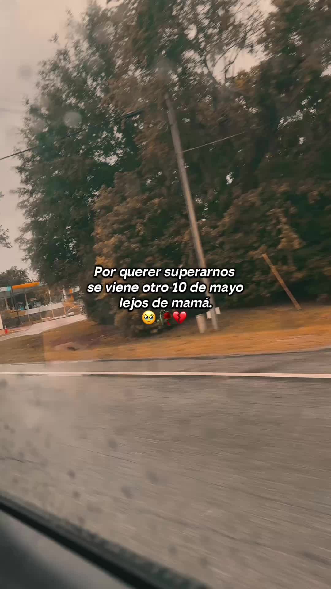 @🌺𝓕𝓵𝓸𝓻𝔂🧚&zwj;♀️🐇