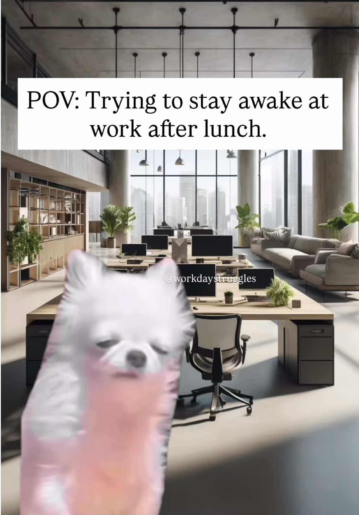 @Workday Struggles