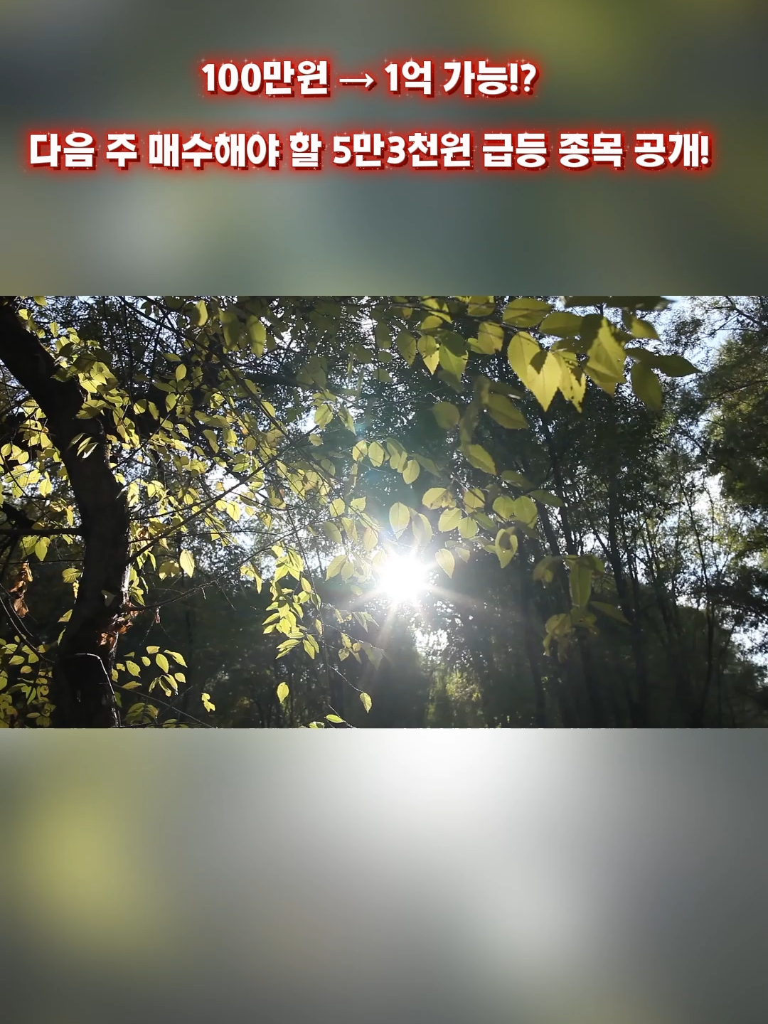 @단타 사냥꾼