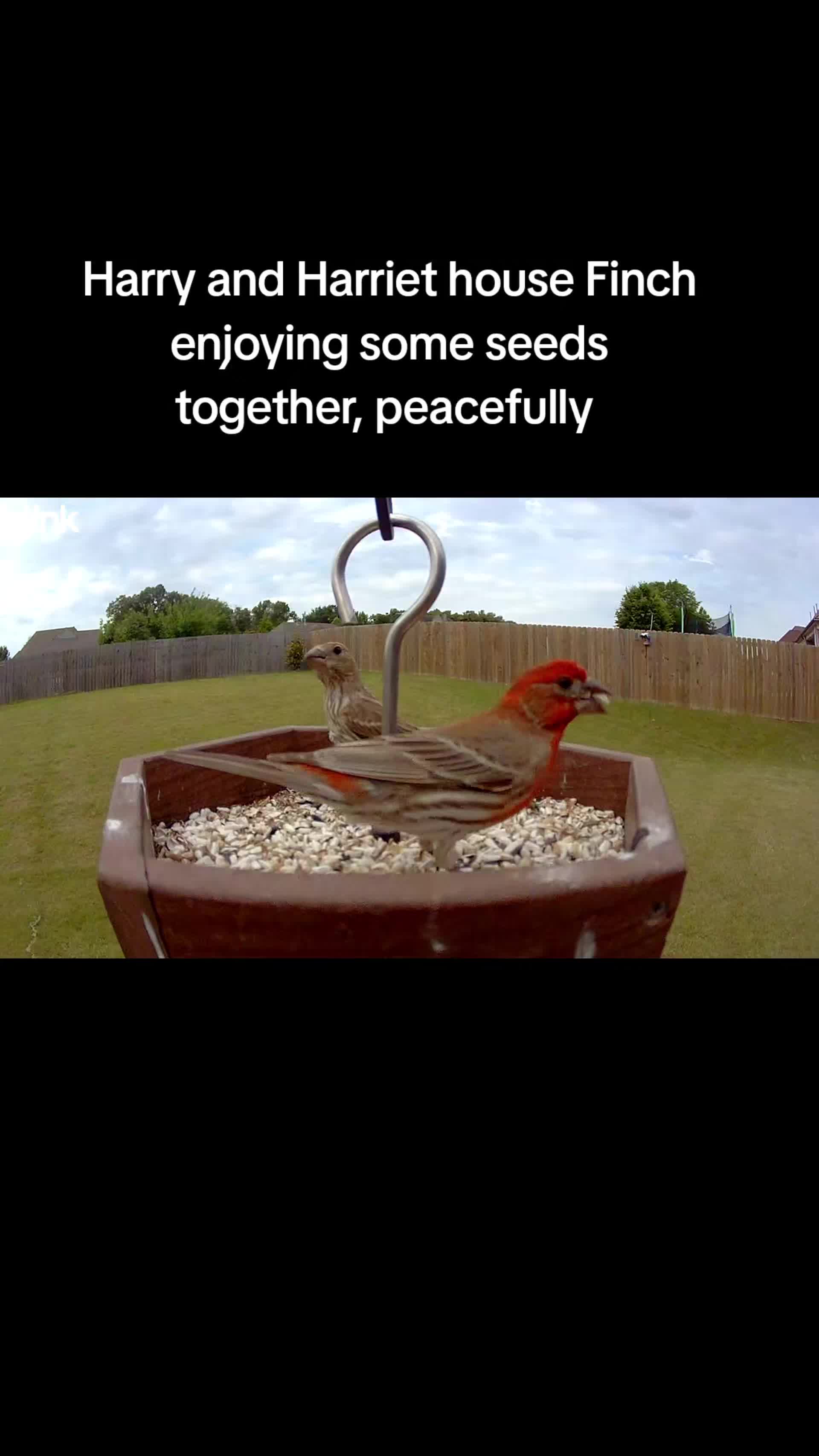 @The bird watcher 🐦 🦜 🦚