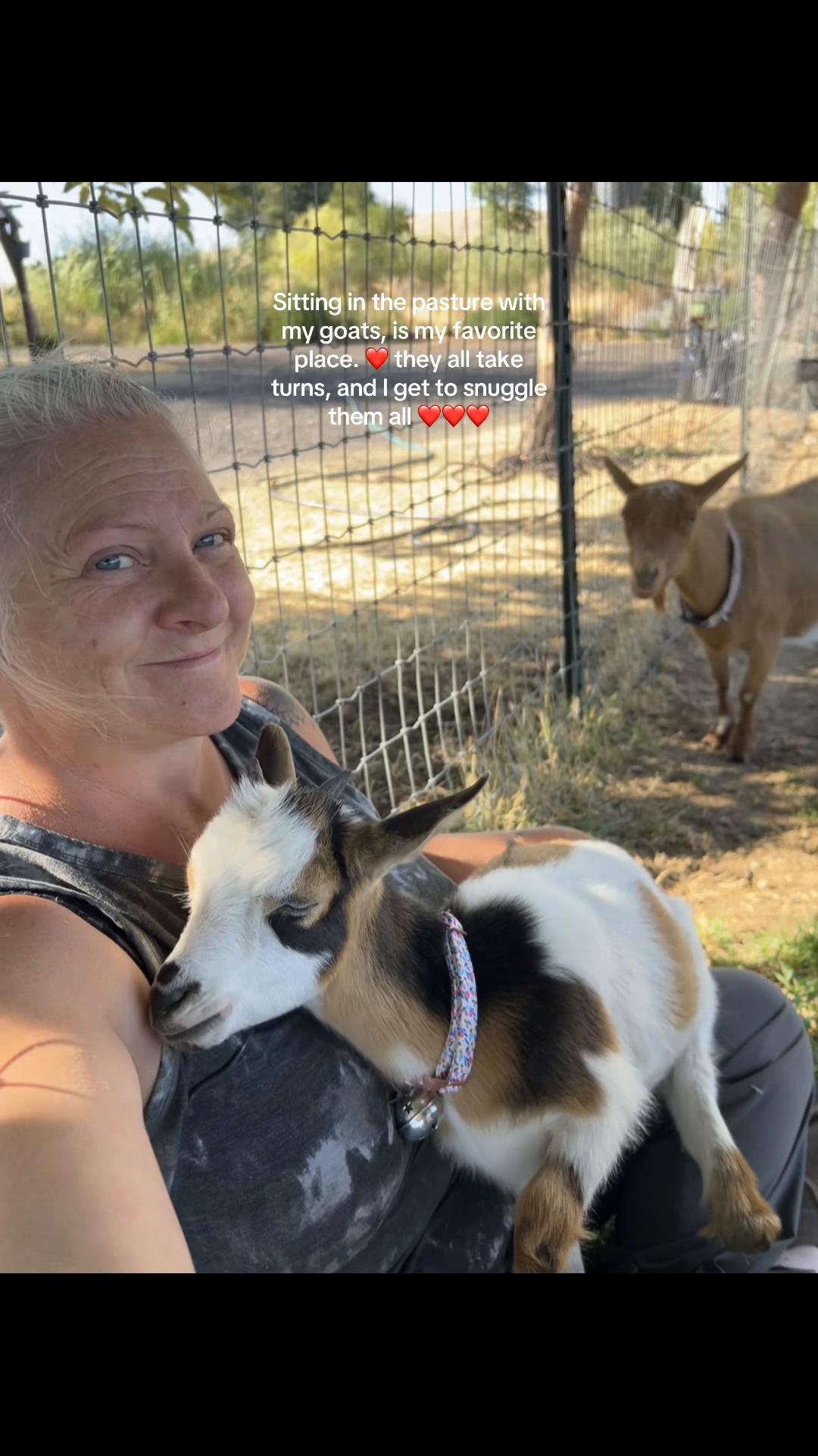 @WollamFarm